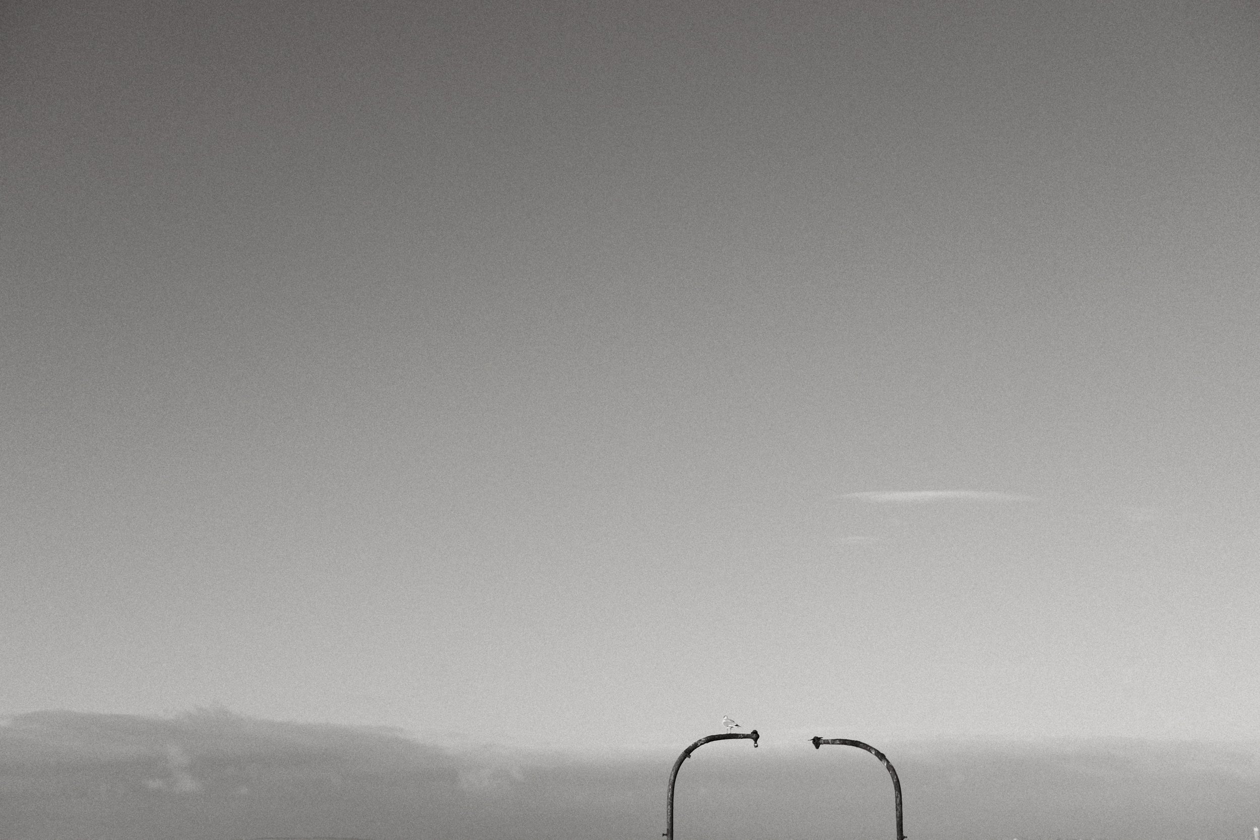 270 Oxygen Mono Recipe SOOC167.jpg