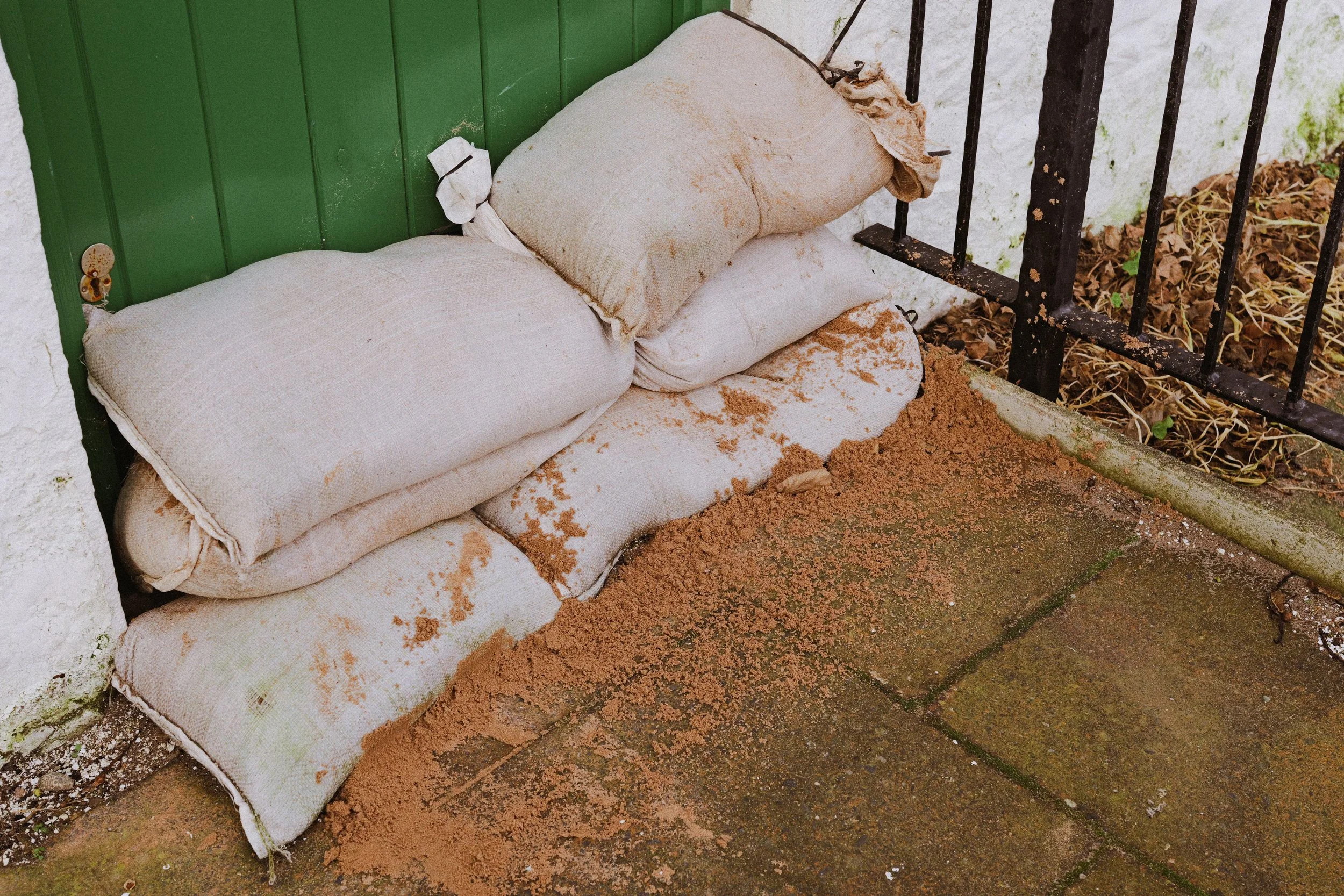 243 Cinestill 400D LUMIX Look16.jpg