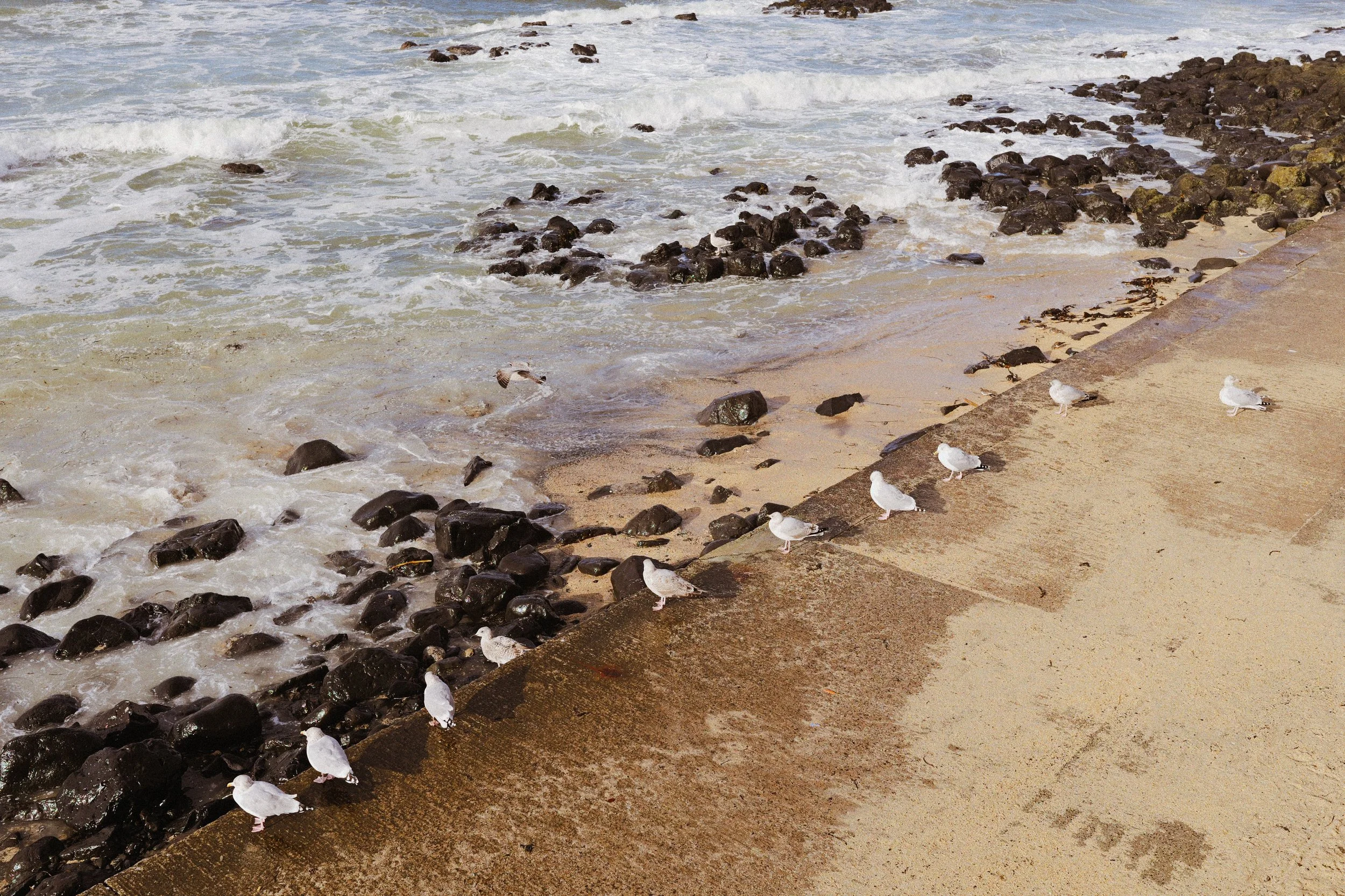 259 North Coast CineStill 400D (24).jpg