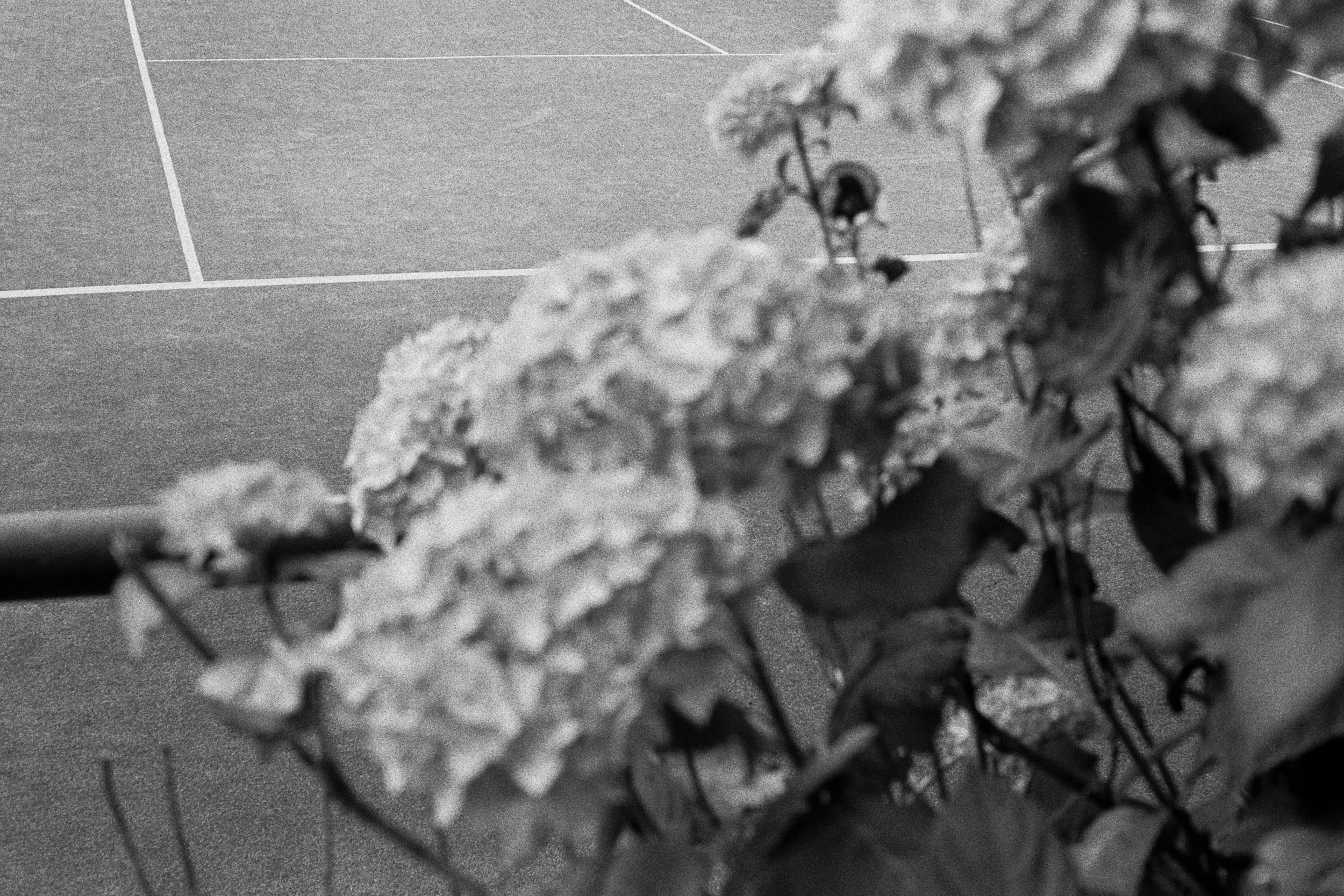 Tennis HP5 35mm Exports by rossandhisjpegs124.jpg