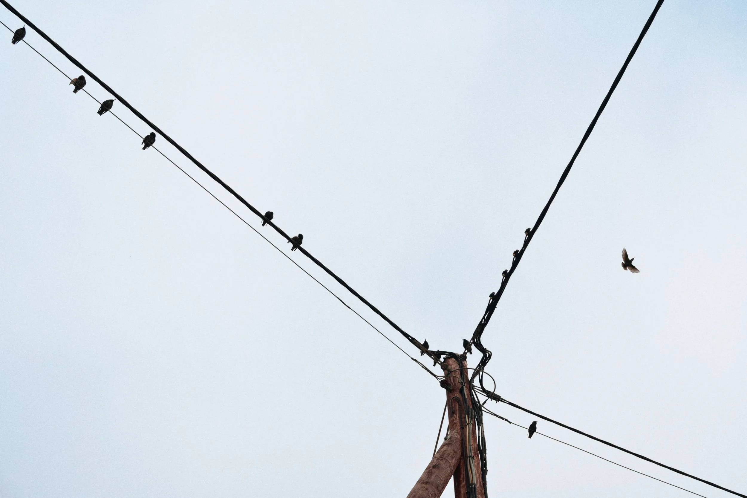 282 Nikon Zf B-7 Ballywalter76.jpg