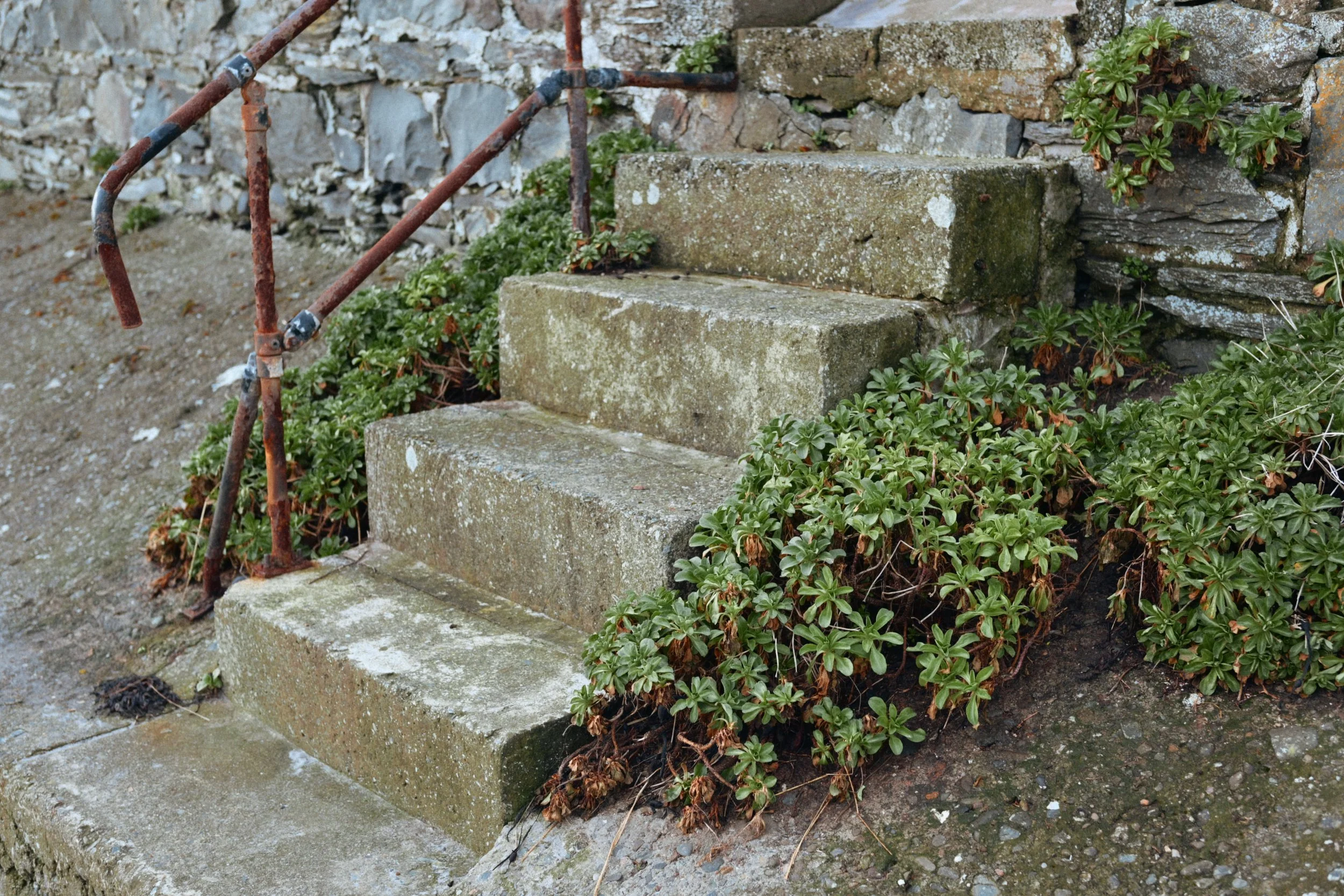 282 Nikon Zf B-7 Ballywalter72.jpg