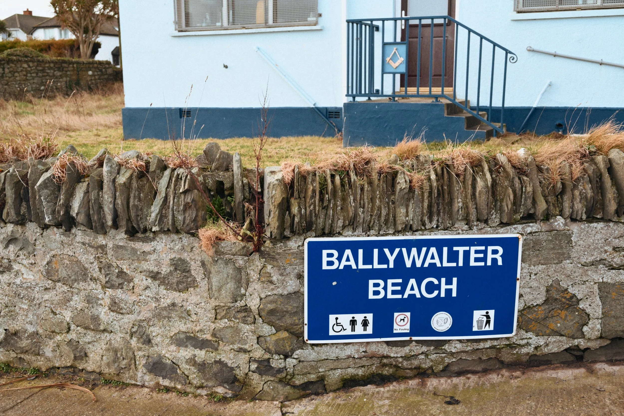 282 Nikon Zf B-7 Ballywalter62.jpg