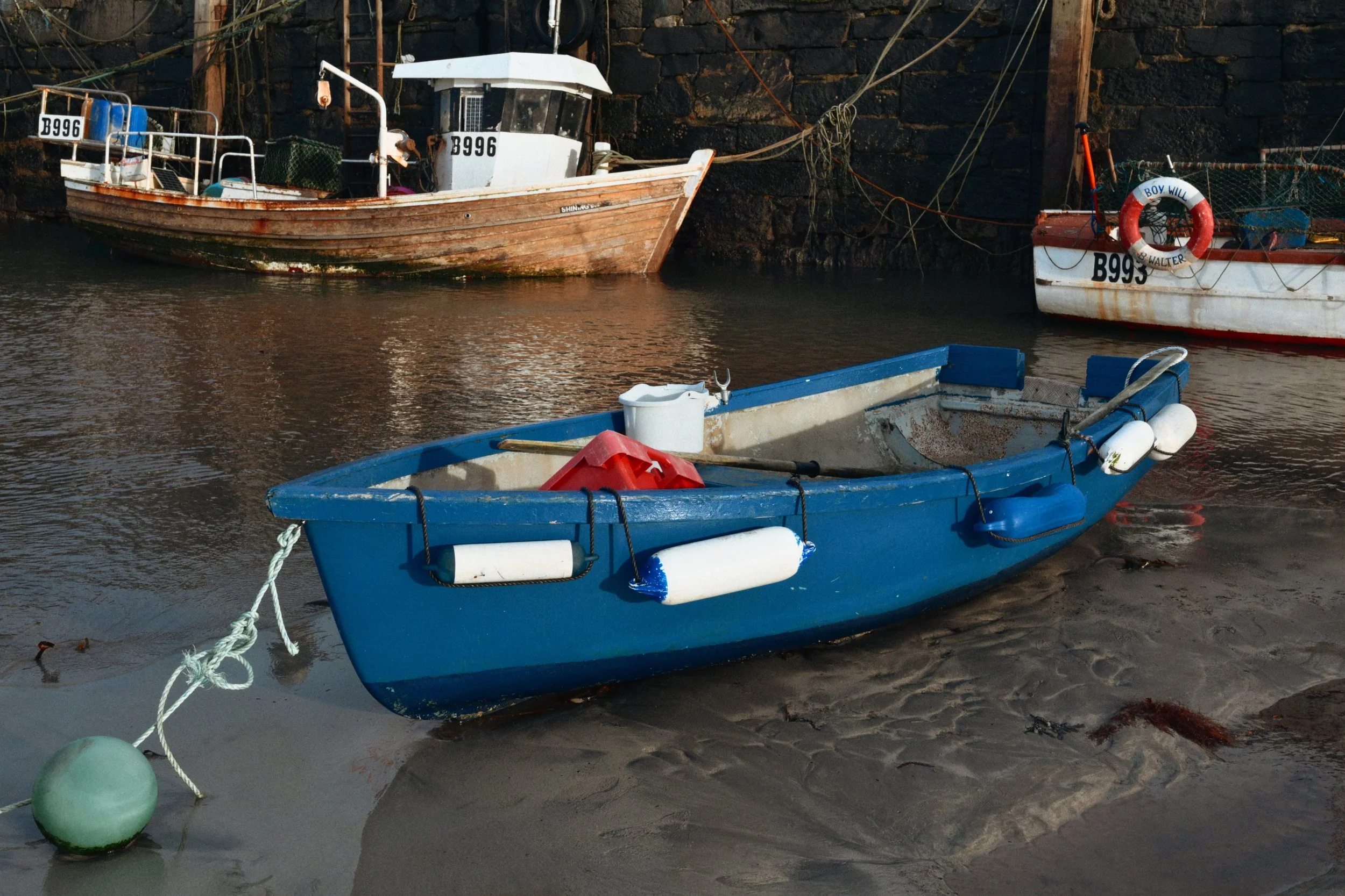 282 Nikon Zf B-7 Ballywalter57.jpg