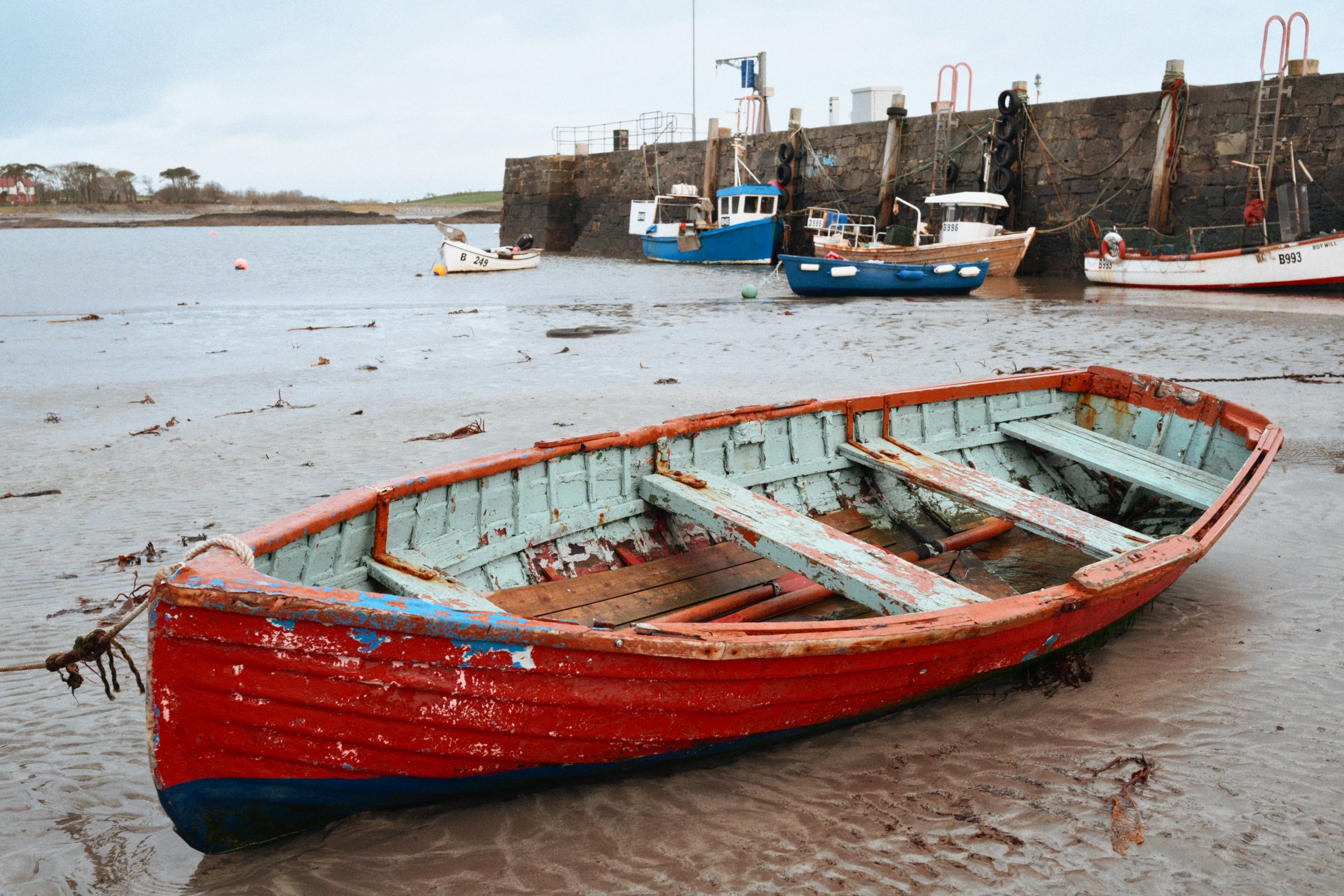 282 Nikon Zf B-7 Ballywalter51.jpg