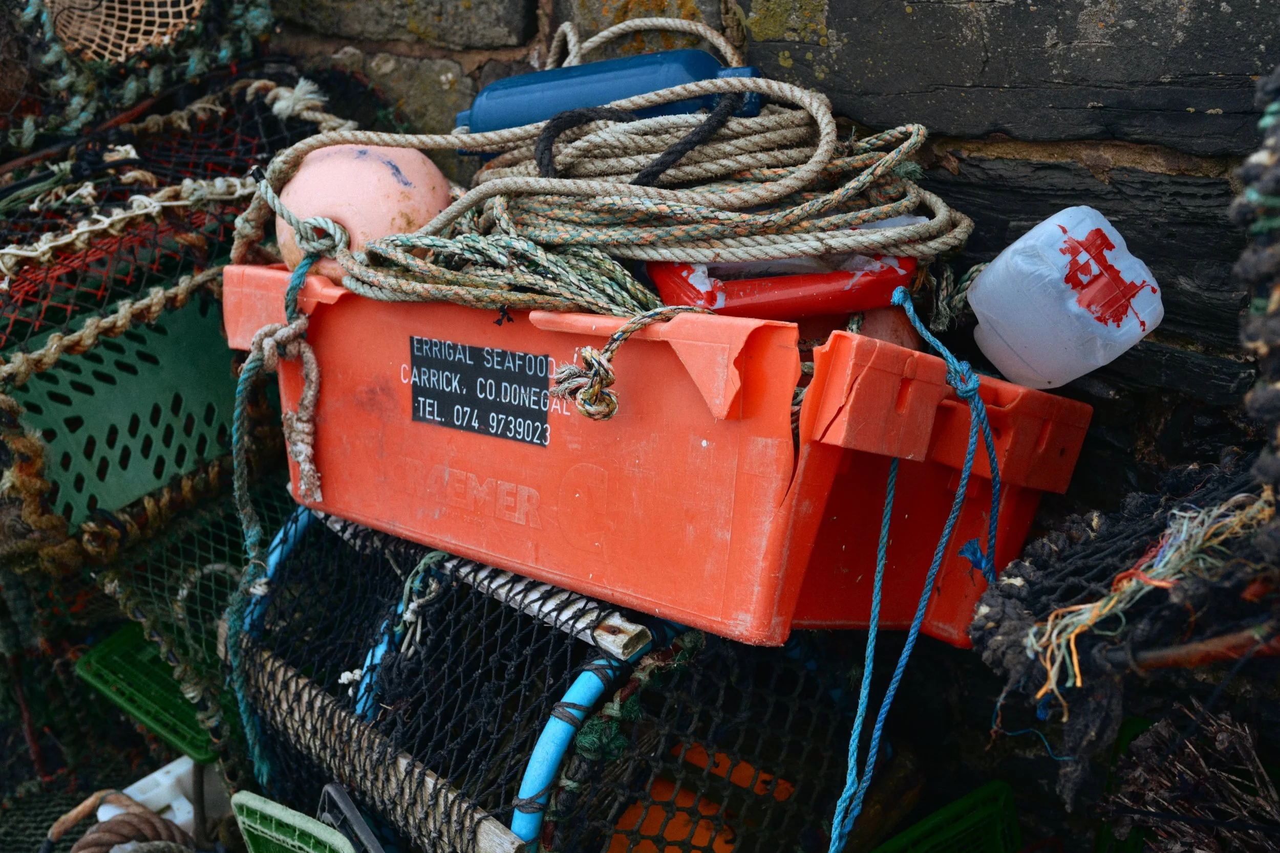 282 Nikon Zf B-7 Ballywalter44.jpg