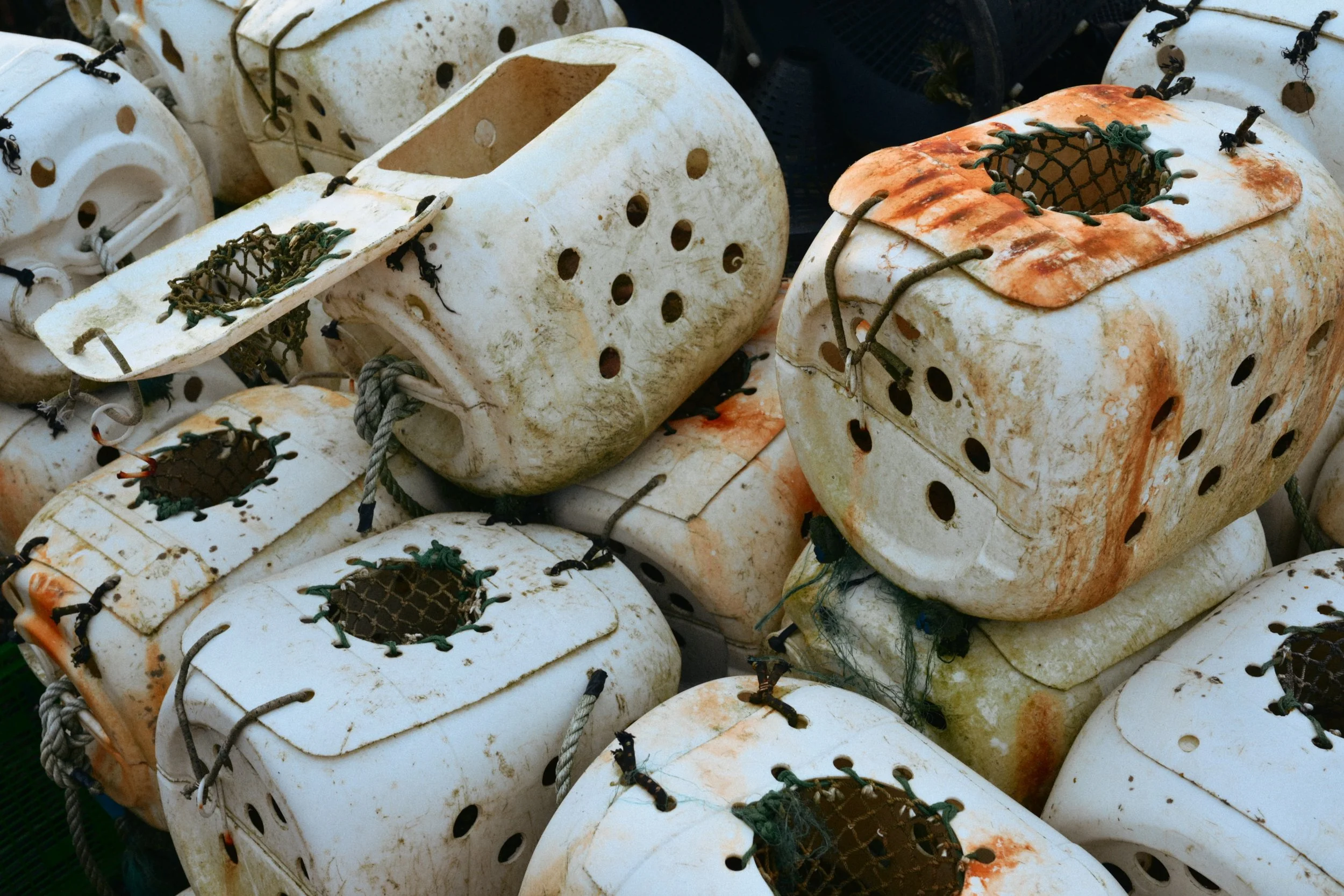 282 Nikon Zf B-7 Ballywalter41.jpg