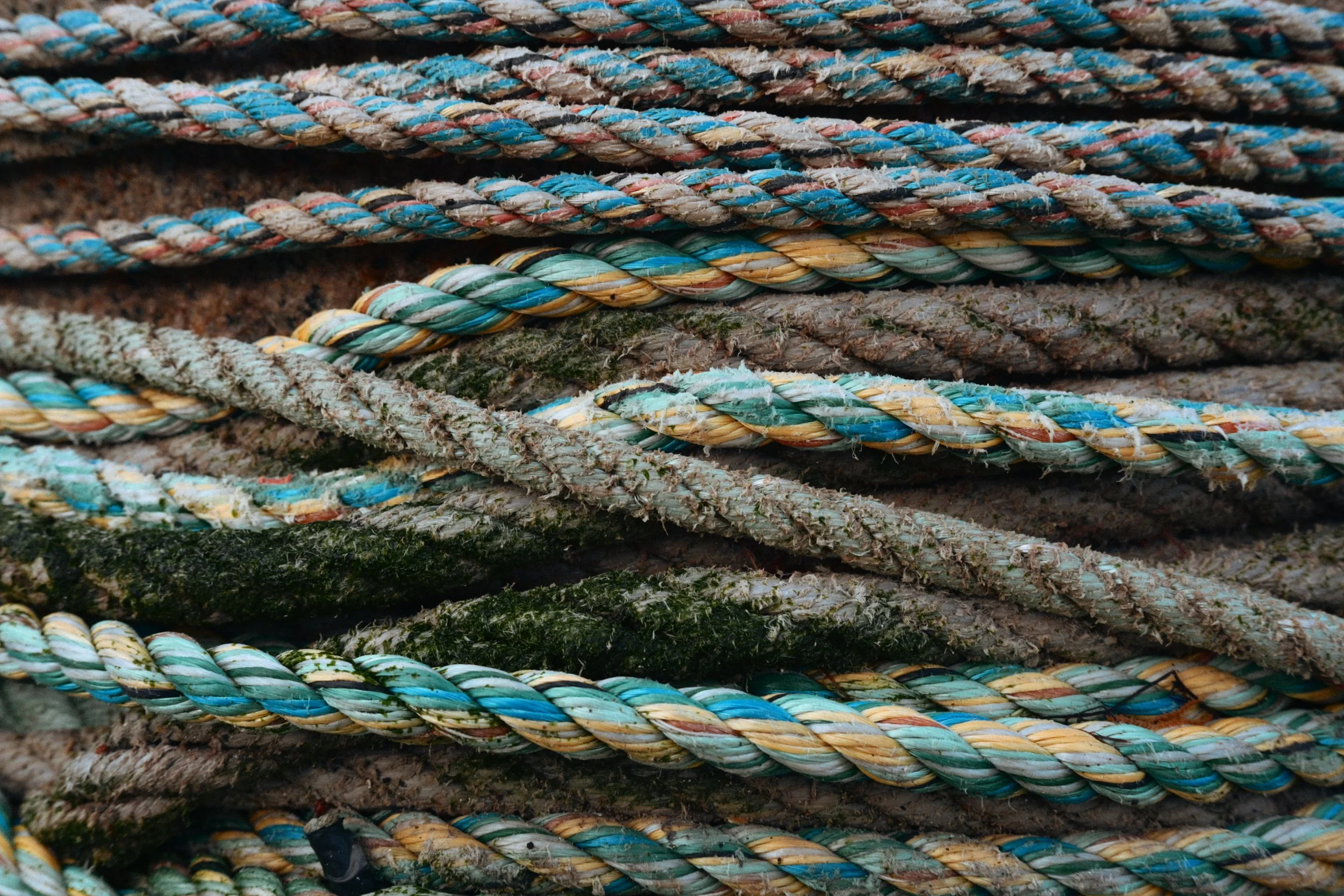 282 Nikon Zf B-7 Ballywalter30.jpg