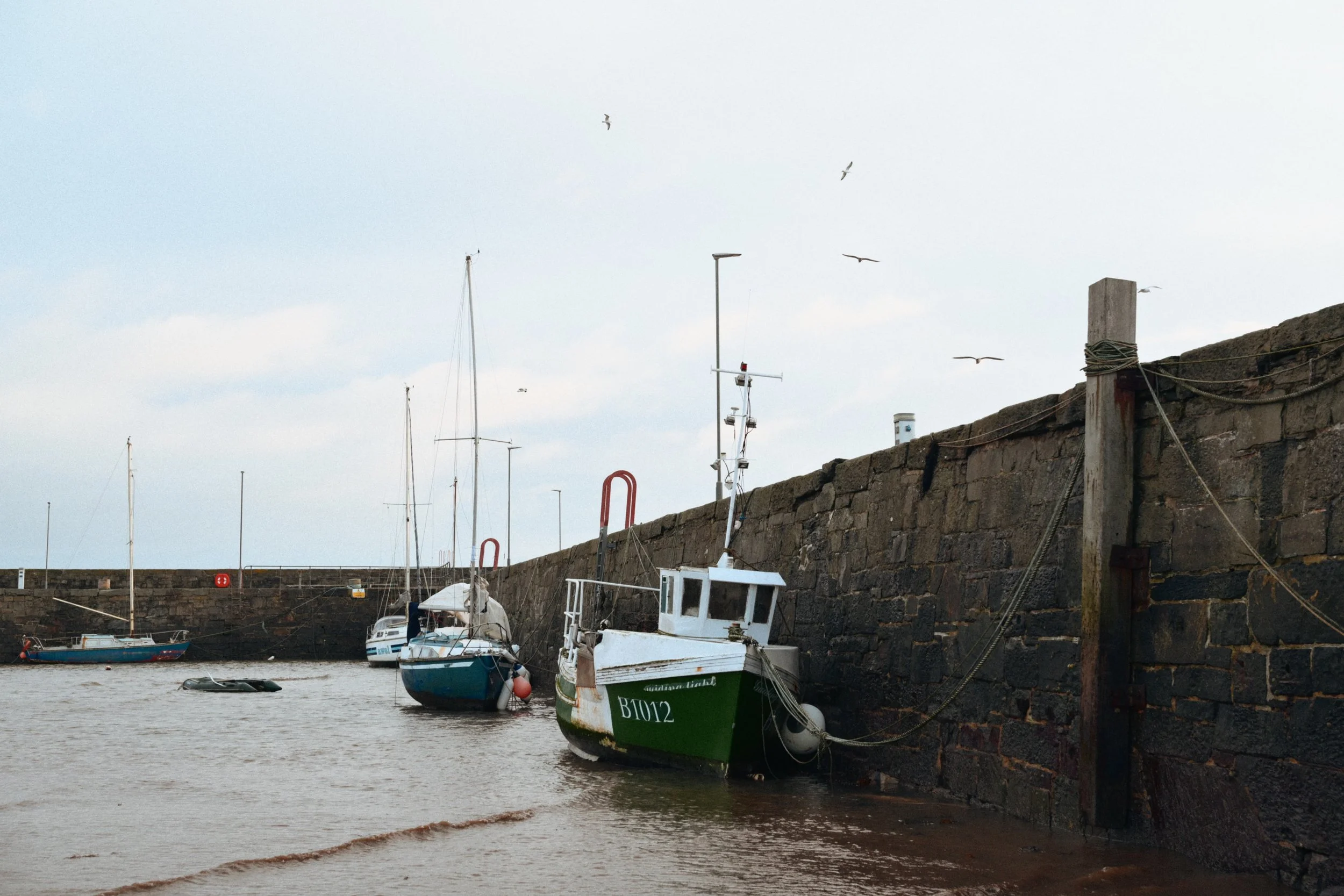 282 Nikon Zf B-7 Ballywalter4.jpg