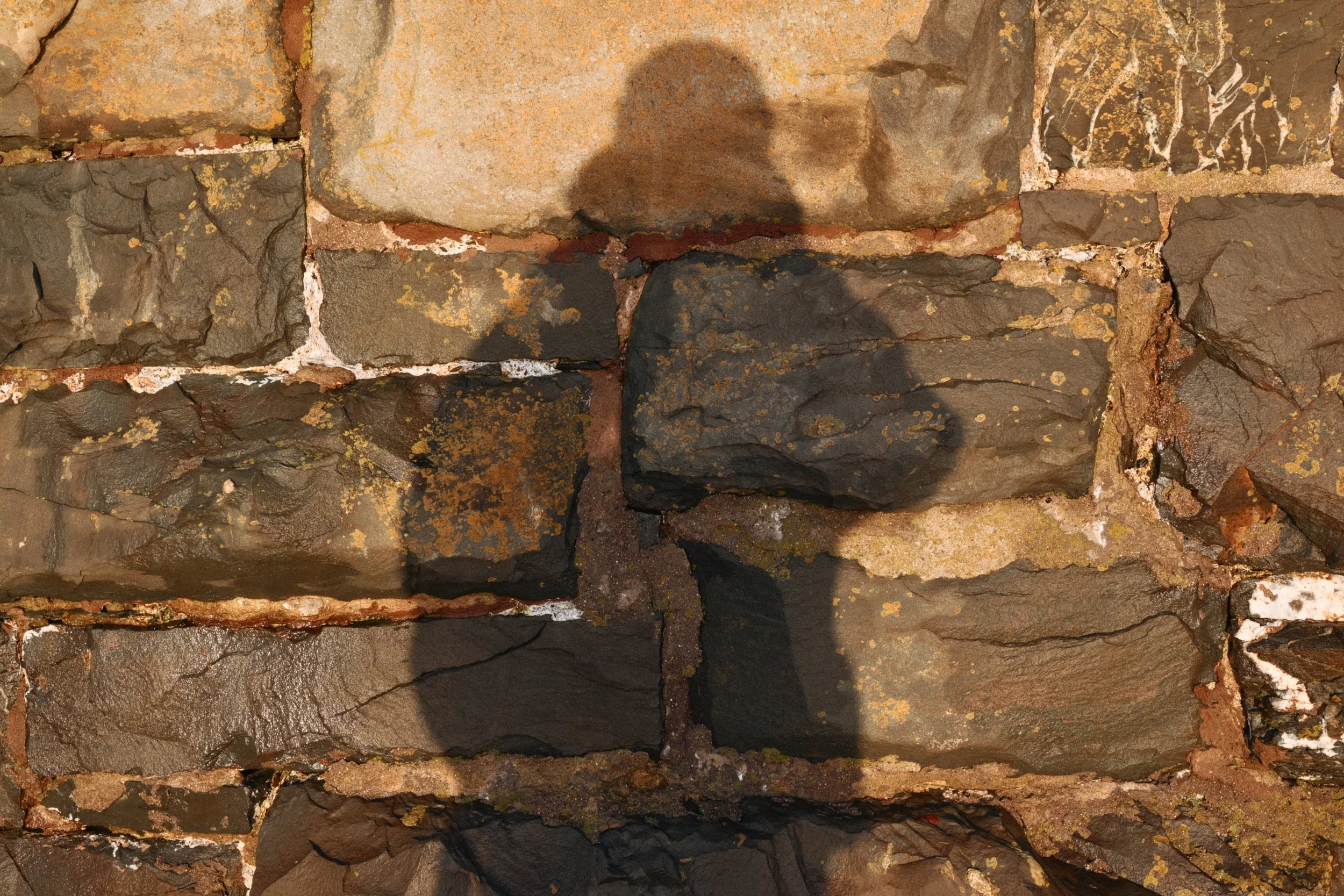 282 Nikon Zf B-7 Ballywalter12.jpg