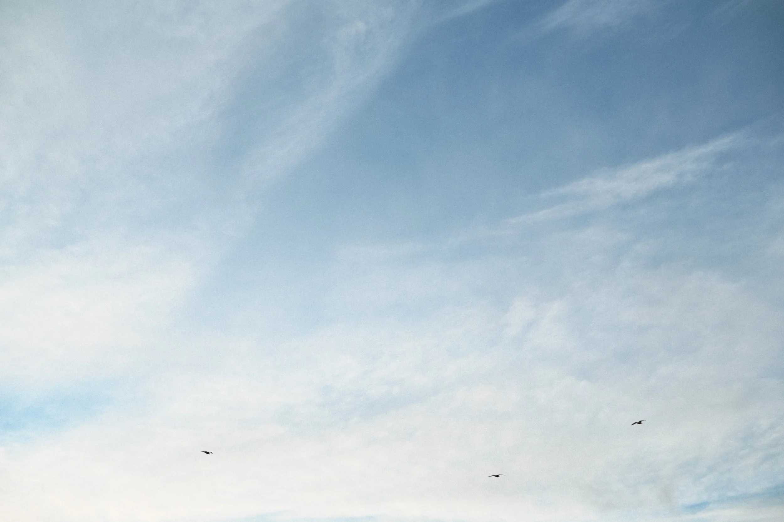 282 Nikon Zf B-7 Ballywalter2.jpg