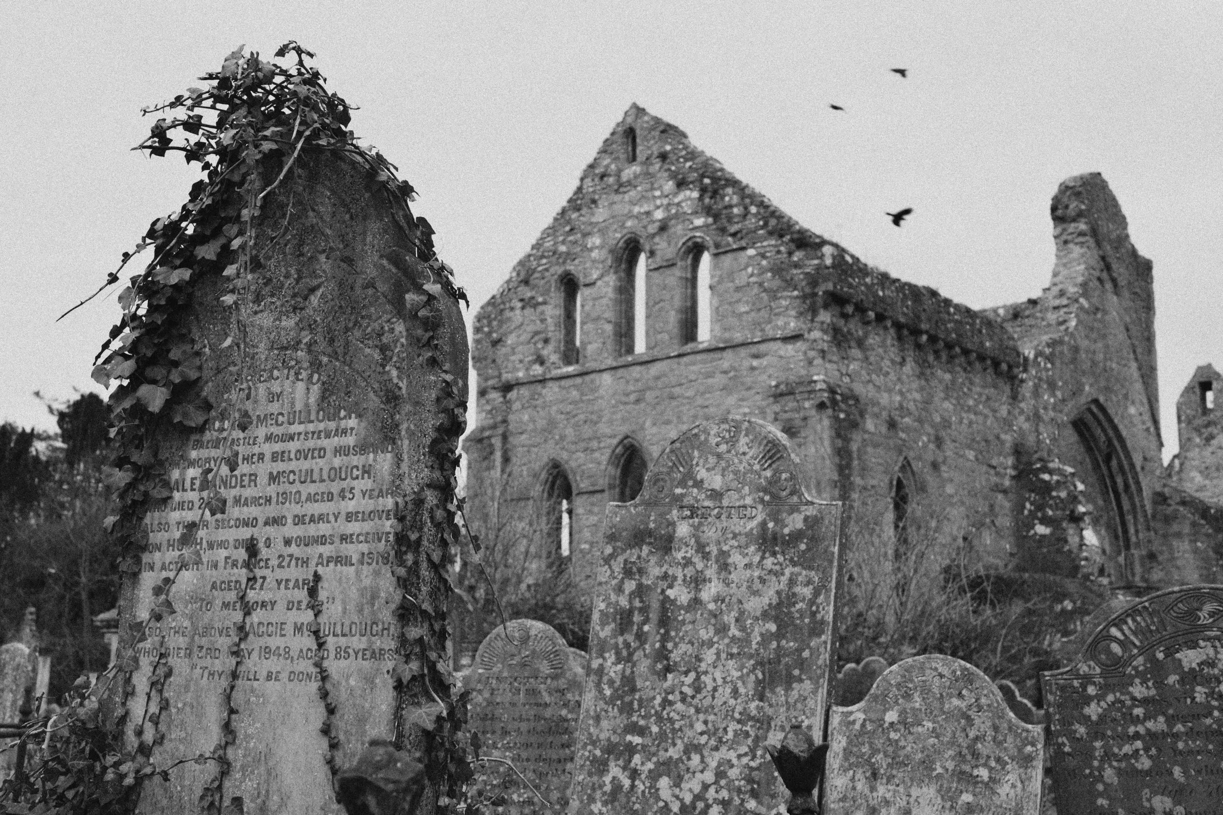 284 Nikon Zf A-X Greyabbey39.jpg