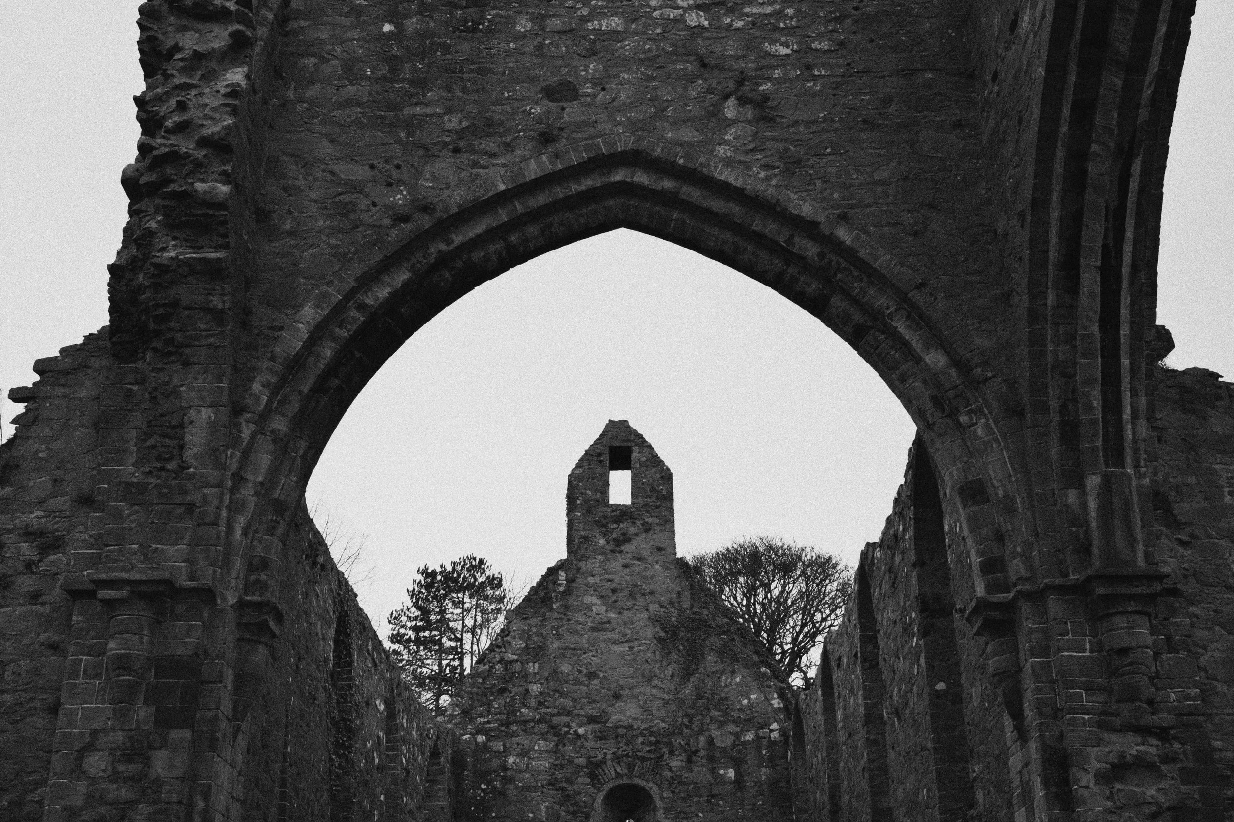 284 Nikon Zf A-X Greyabbey5.jpg