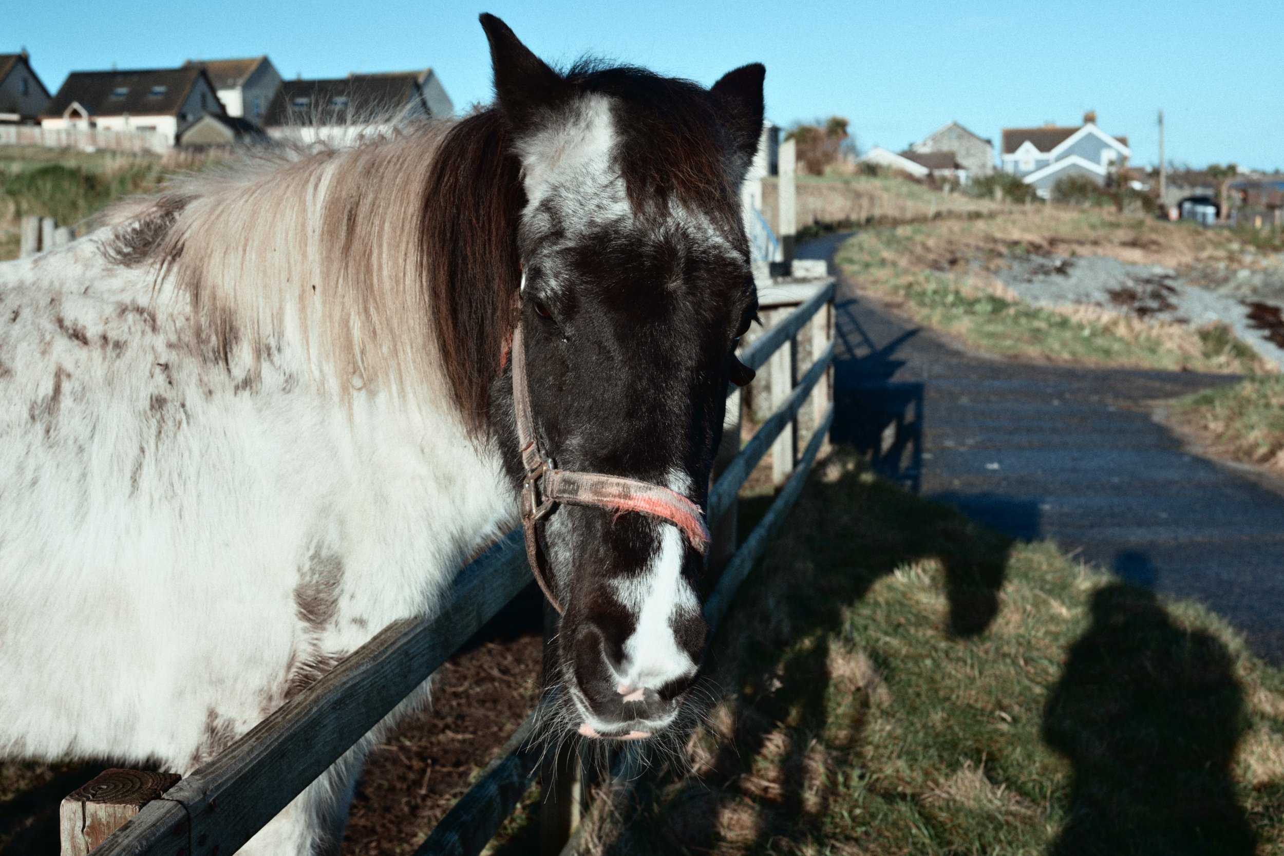 285 Nikon Zg N-3 Portavogie59.jpg