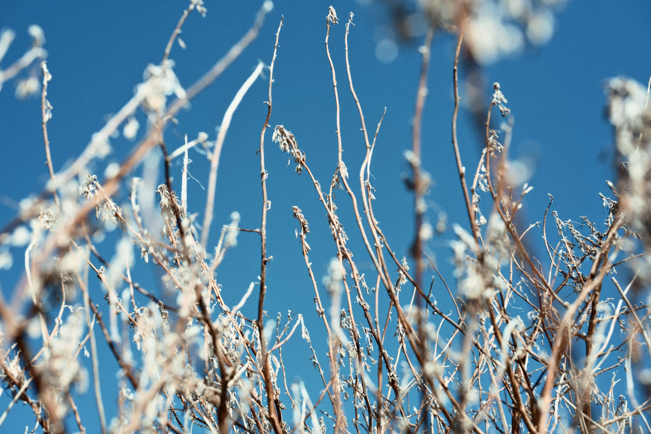 285 Nikon Zg N-3 Portavogie51.jpg