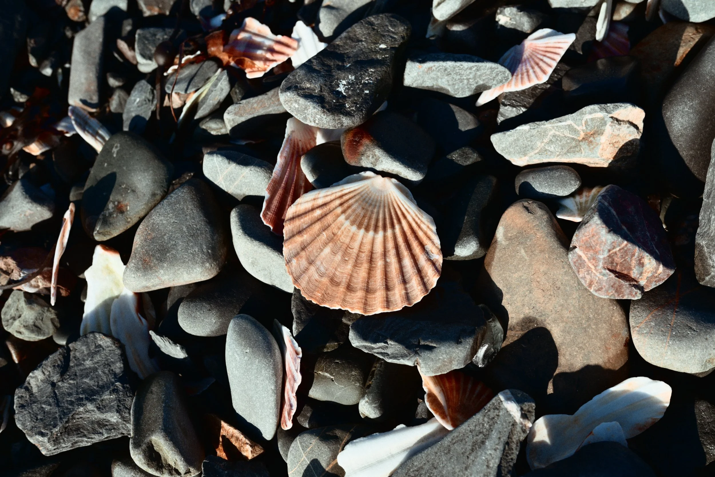 285 Nikon Zg N-3 Portavogie3.jpg