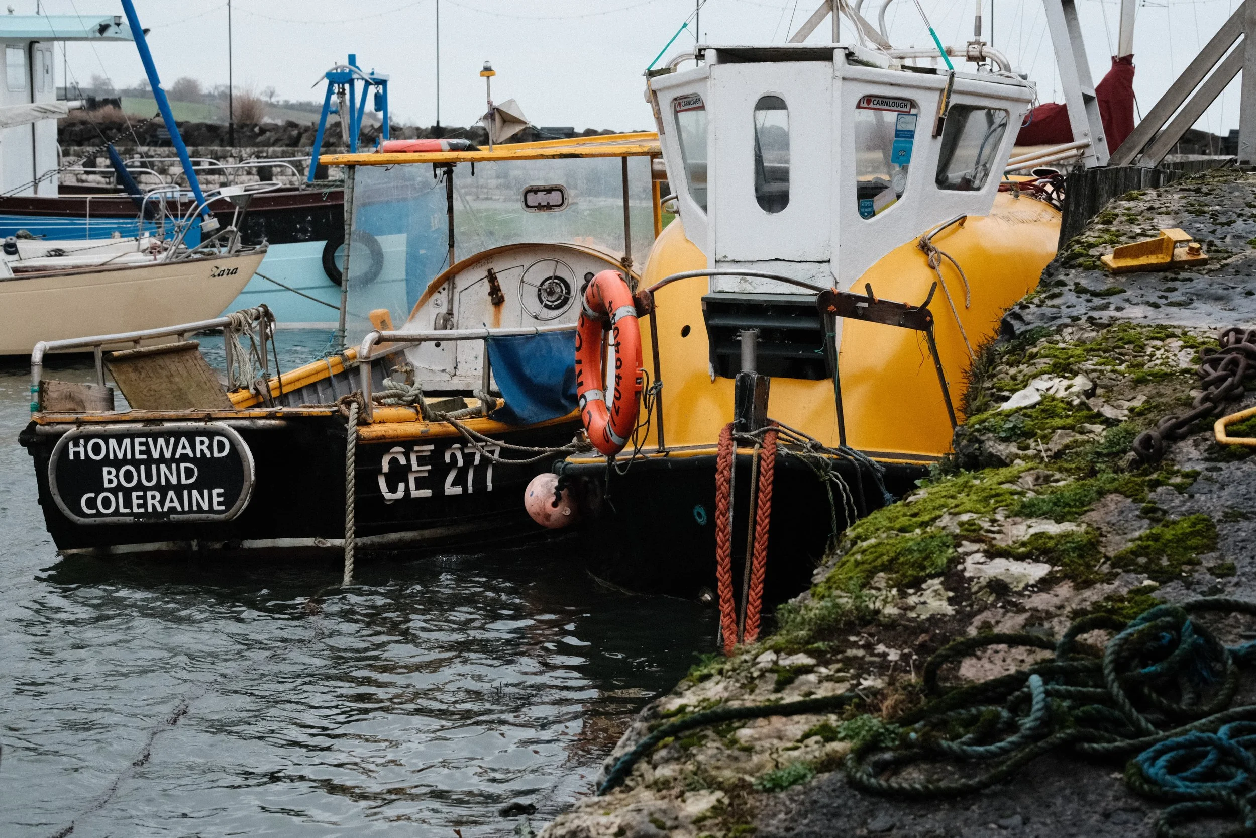 278 Soft Chrome Fuji GOATs (28).jpg