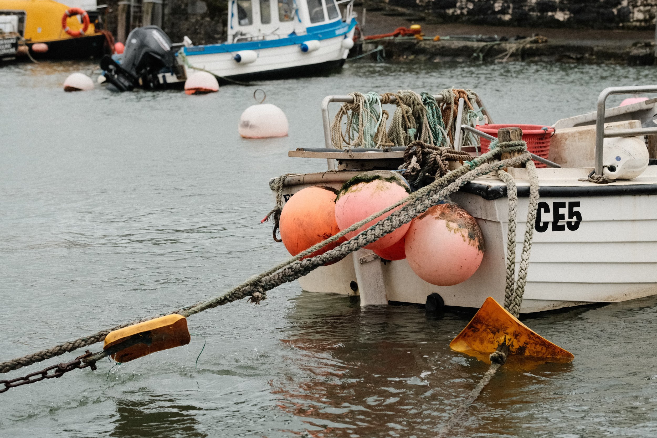 278 Soft Chrome Fuji GOATs (23).jpg