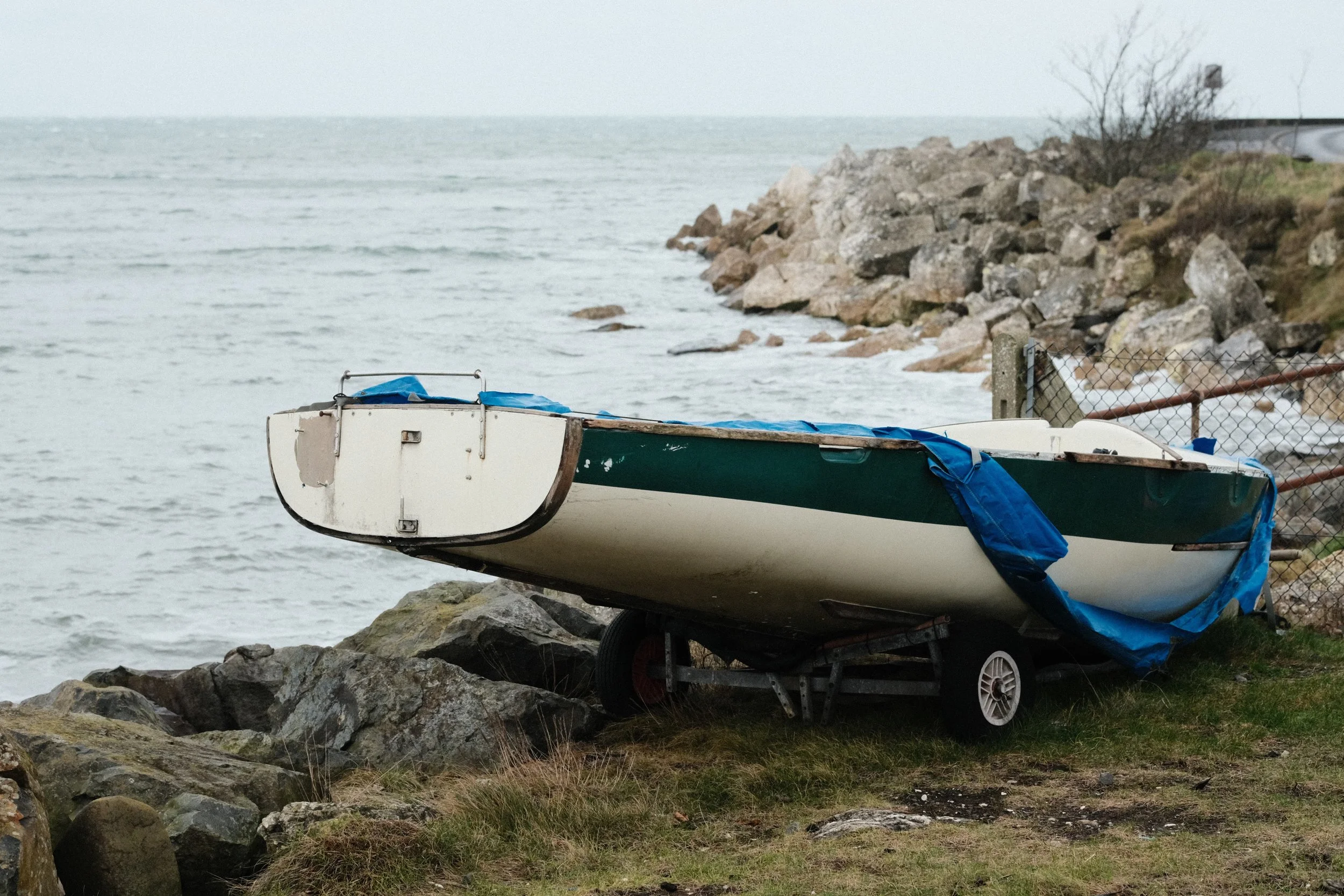 278 Soft Chrome Fuji GOATs (19).jpg