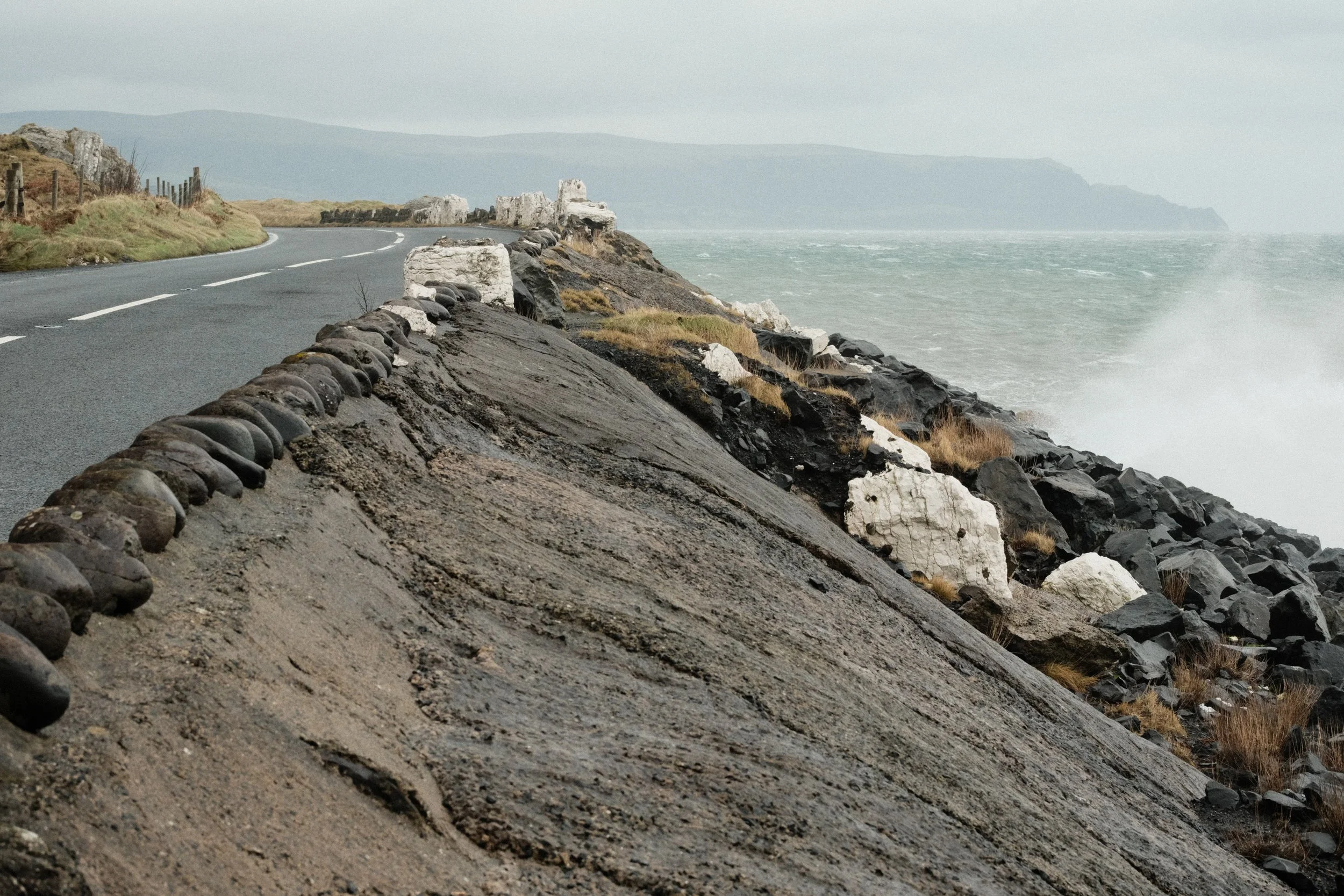 278 Soft Chrome Fuji GOATs (12).jpg