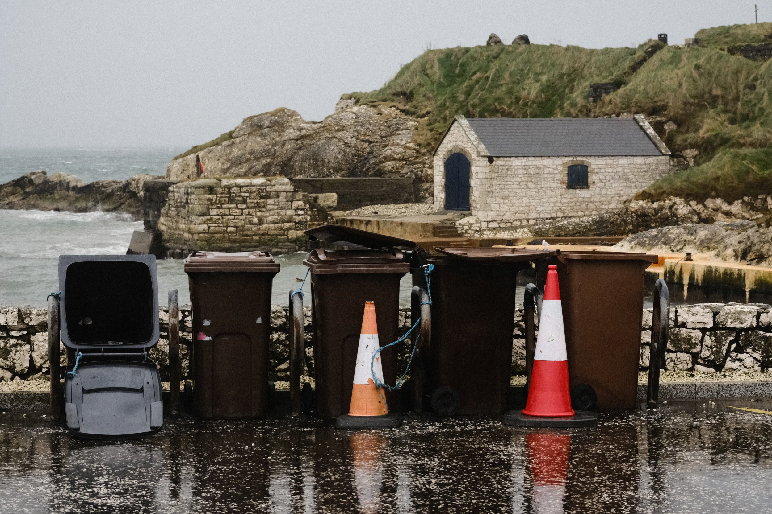 278 Balloo Astia Fuji GOATs (34).jpg