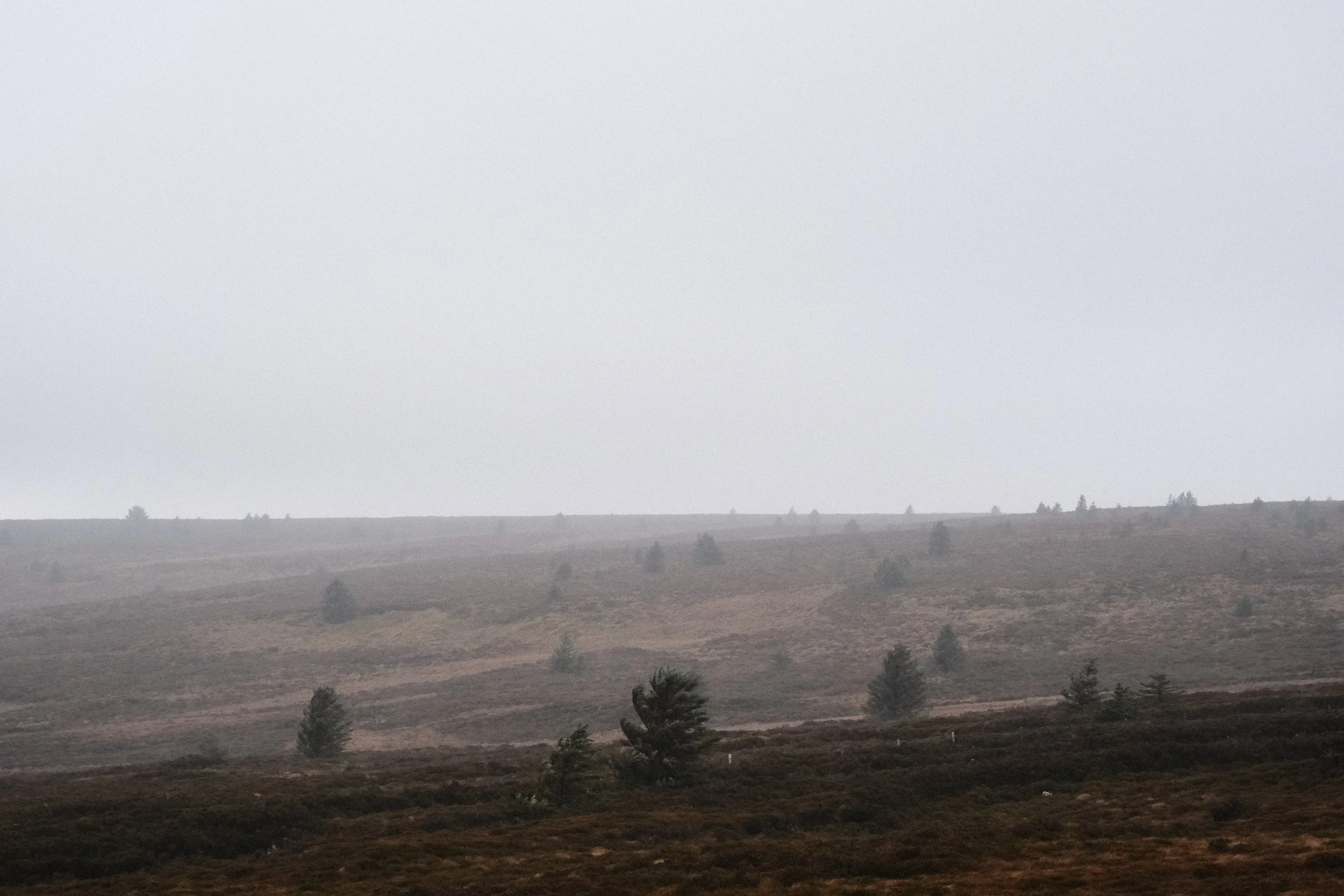 278 Balloo Astia Fuji GOATs (30).jpg