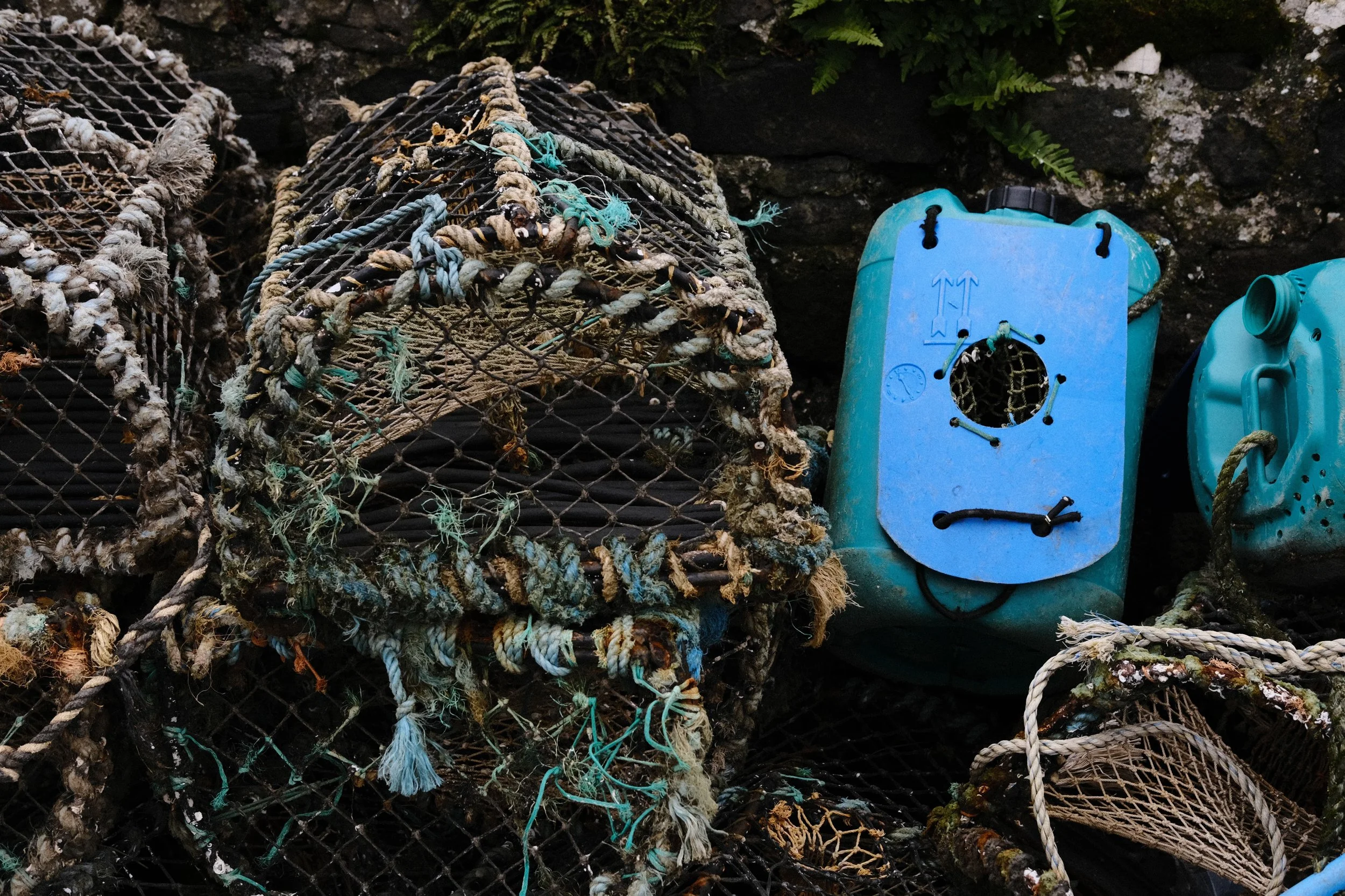 278 Balloo Astia Fuji GOATs (23).jpg