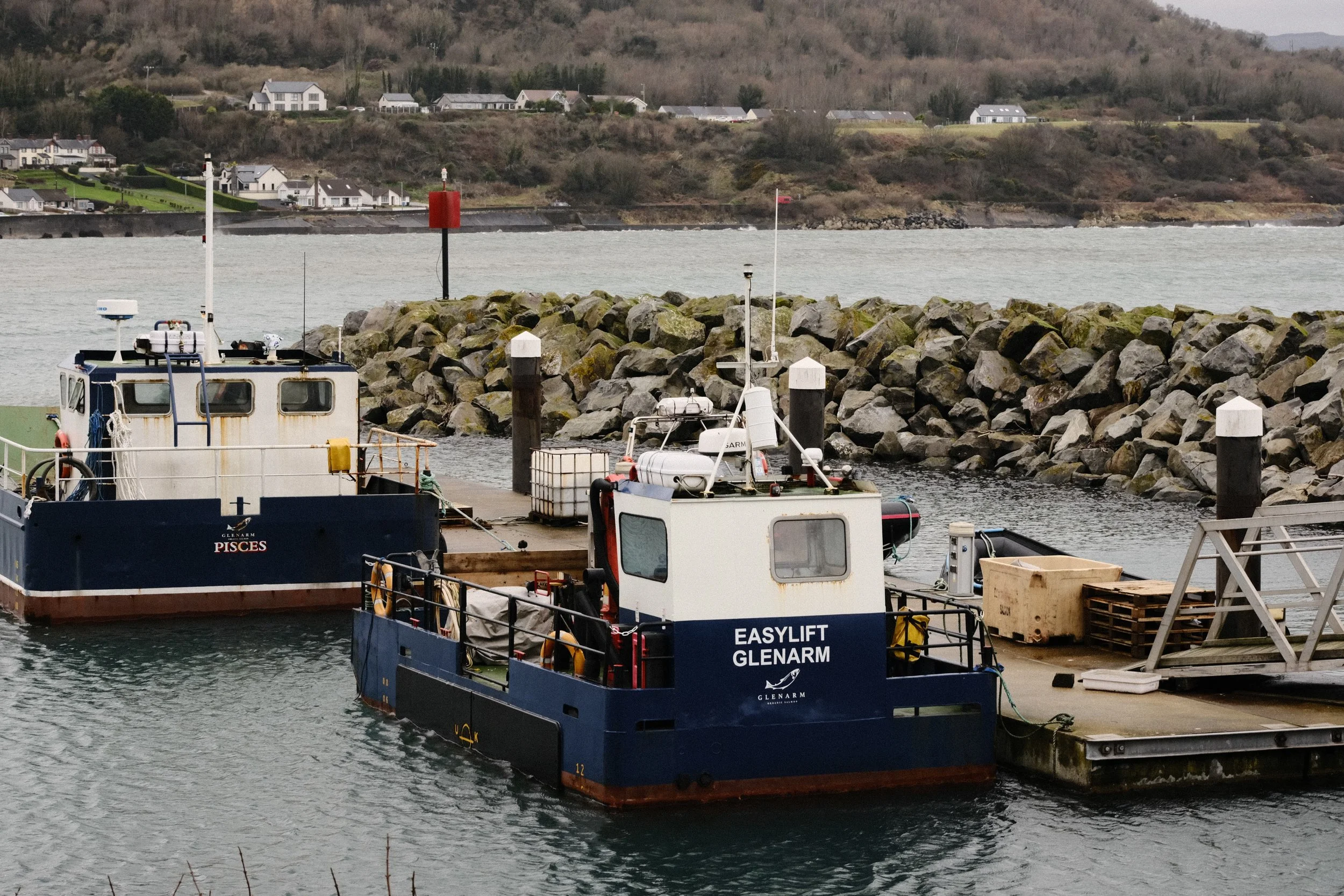 278 Balloo Astia Fuji GOATs (22).jpg