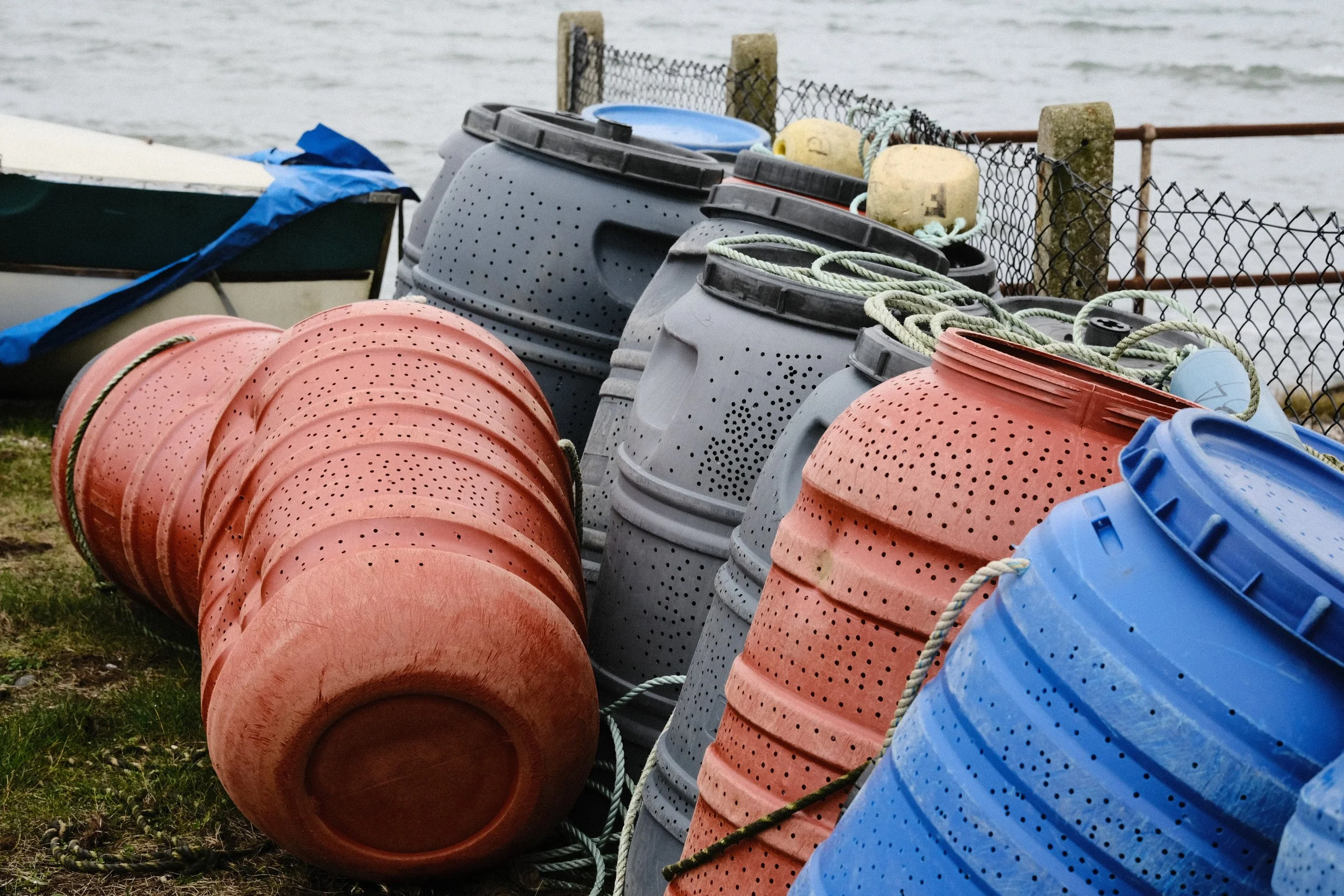 278 Balloo Astia Fuji GOATs (19).jpg