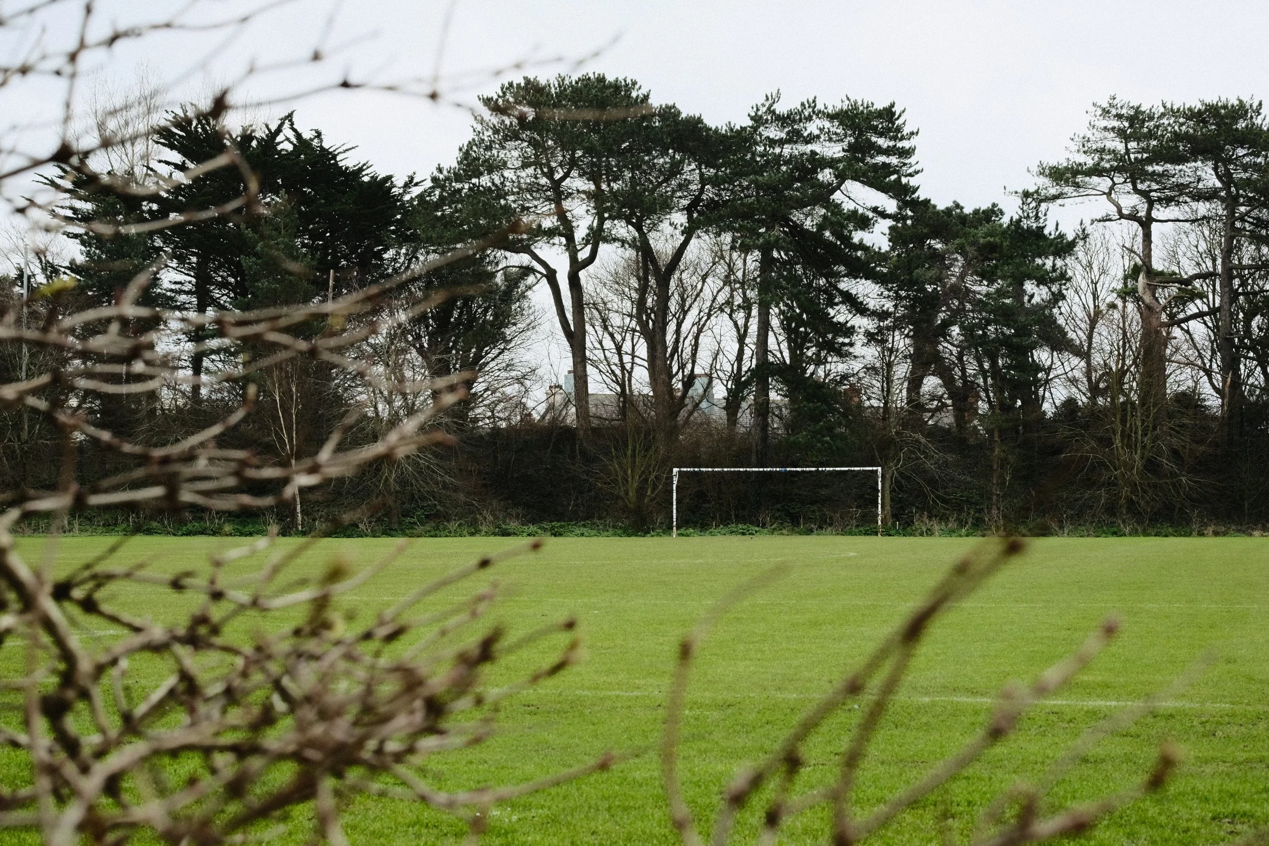 278 Balloo Astia Fuji GOATs (14).jpg