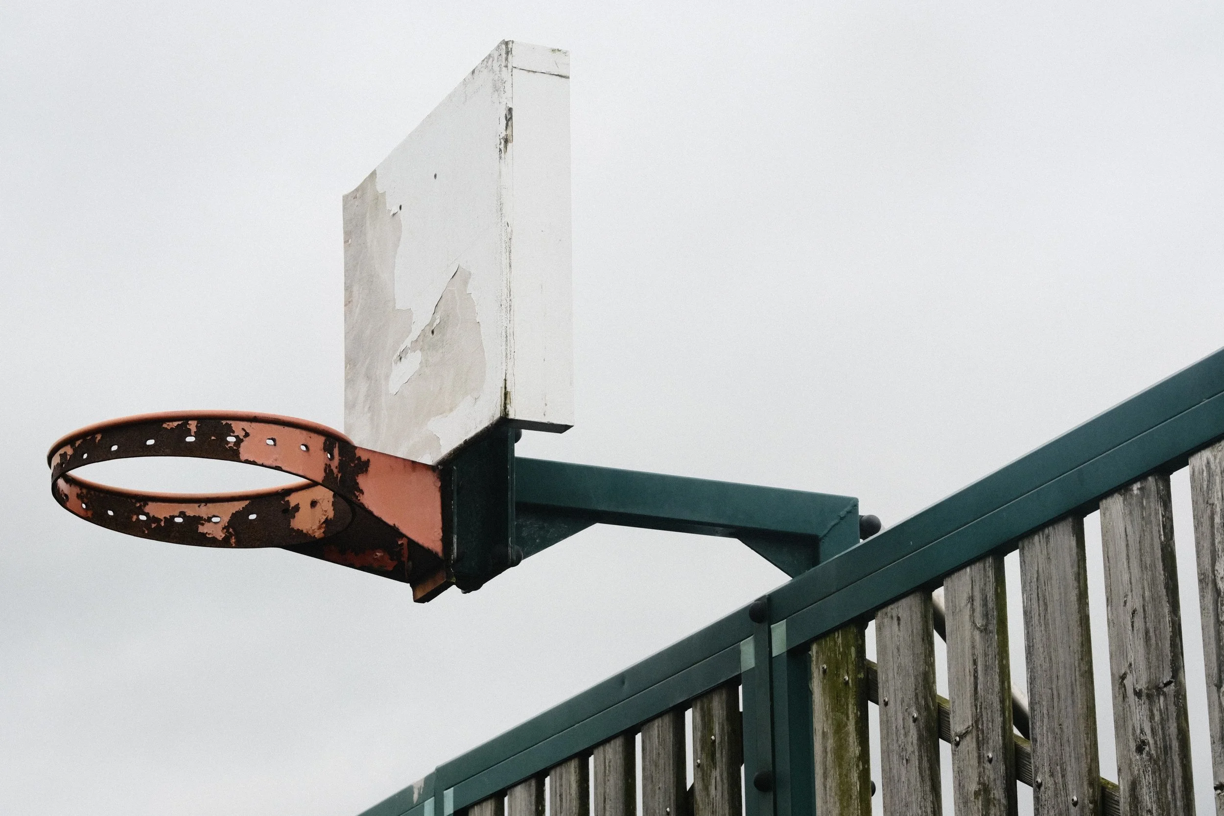 278 Balloo Astia Fuji GOATs (11).jpg