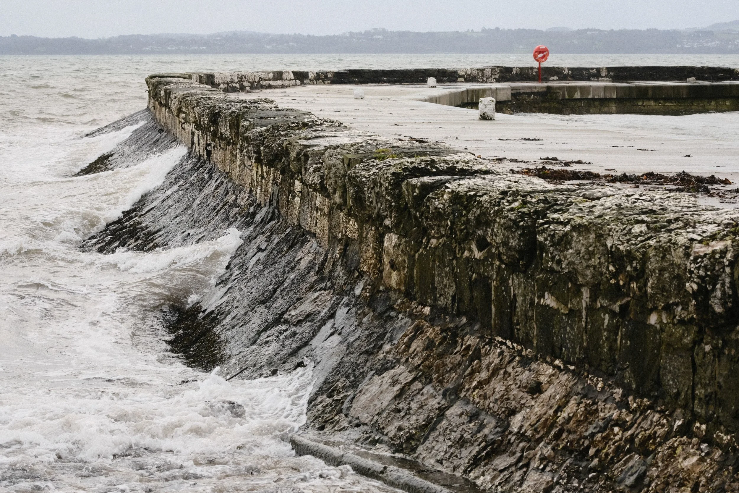 278 Balloo Astia Fuji GOATs (4).jpg