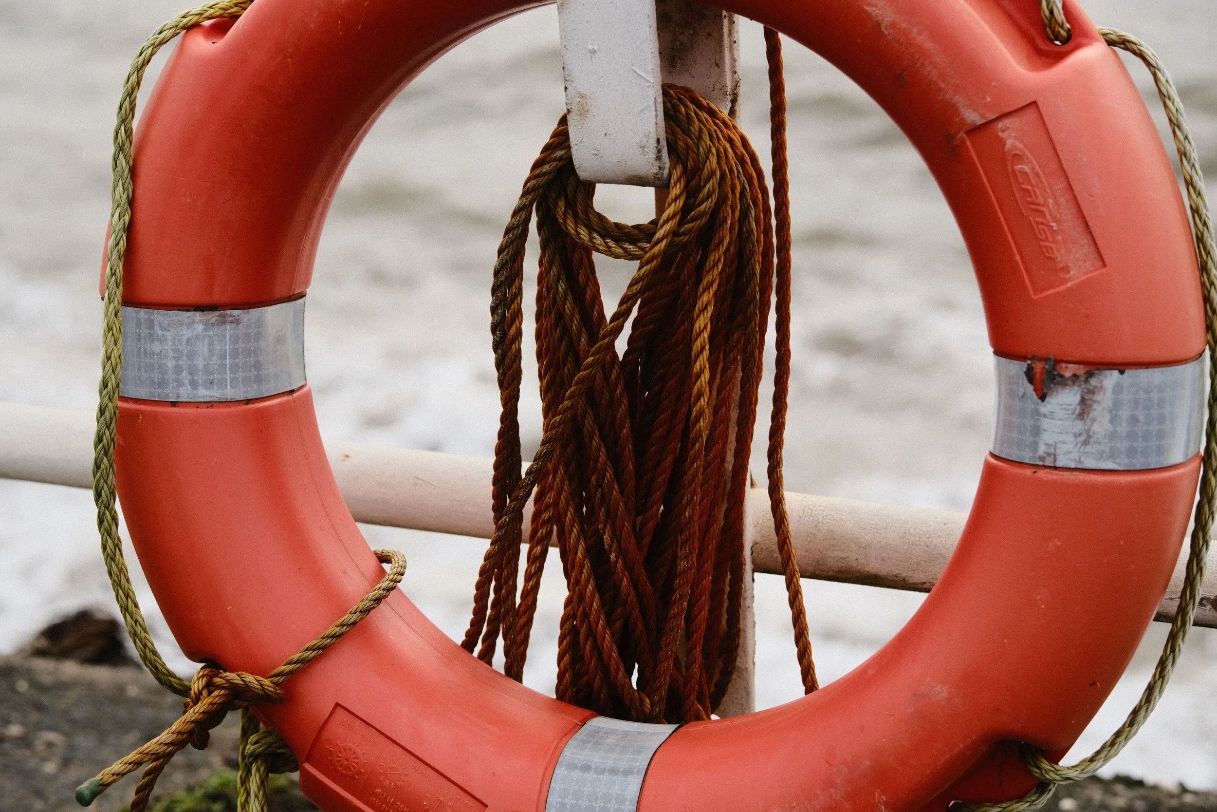 278 Balloo Astia Fuji GOATs (2).jpg