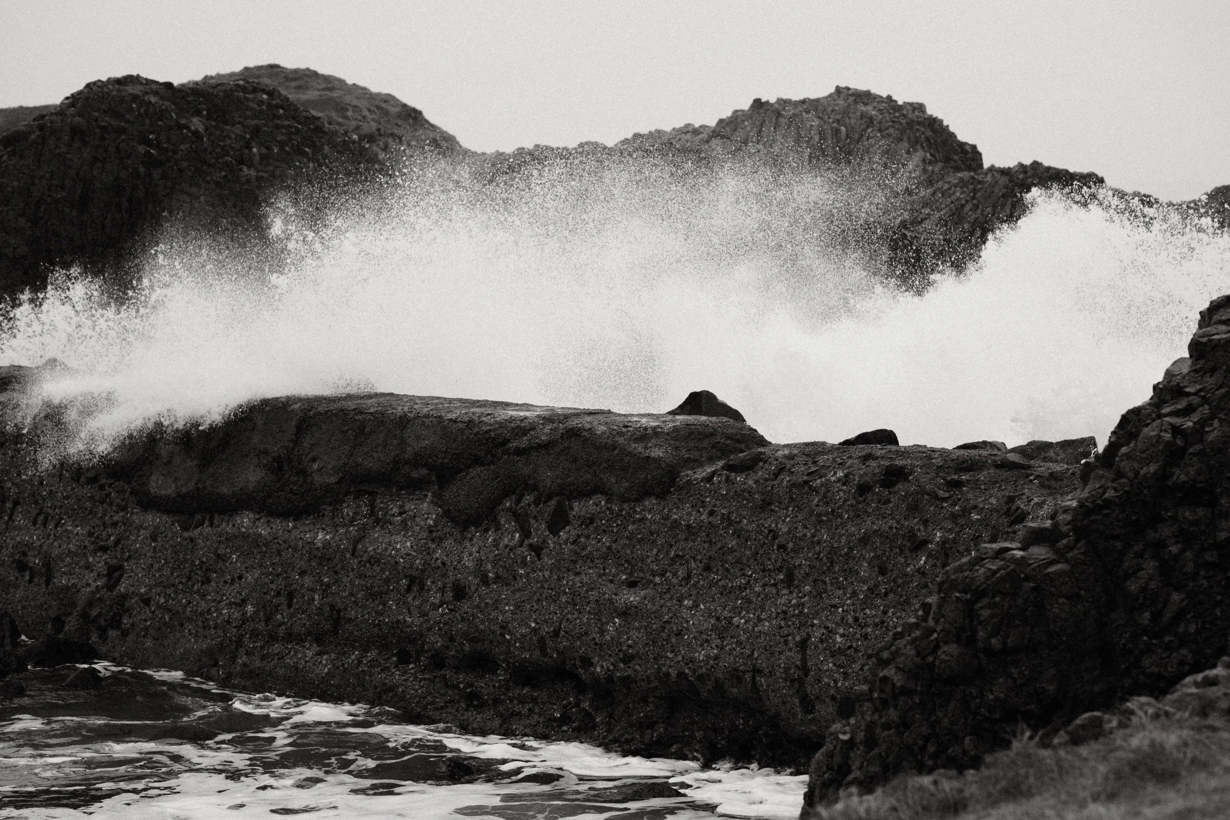 278 Oxygen Mono Fuji GOATs (28).jpg