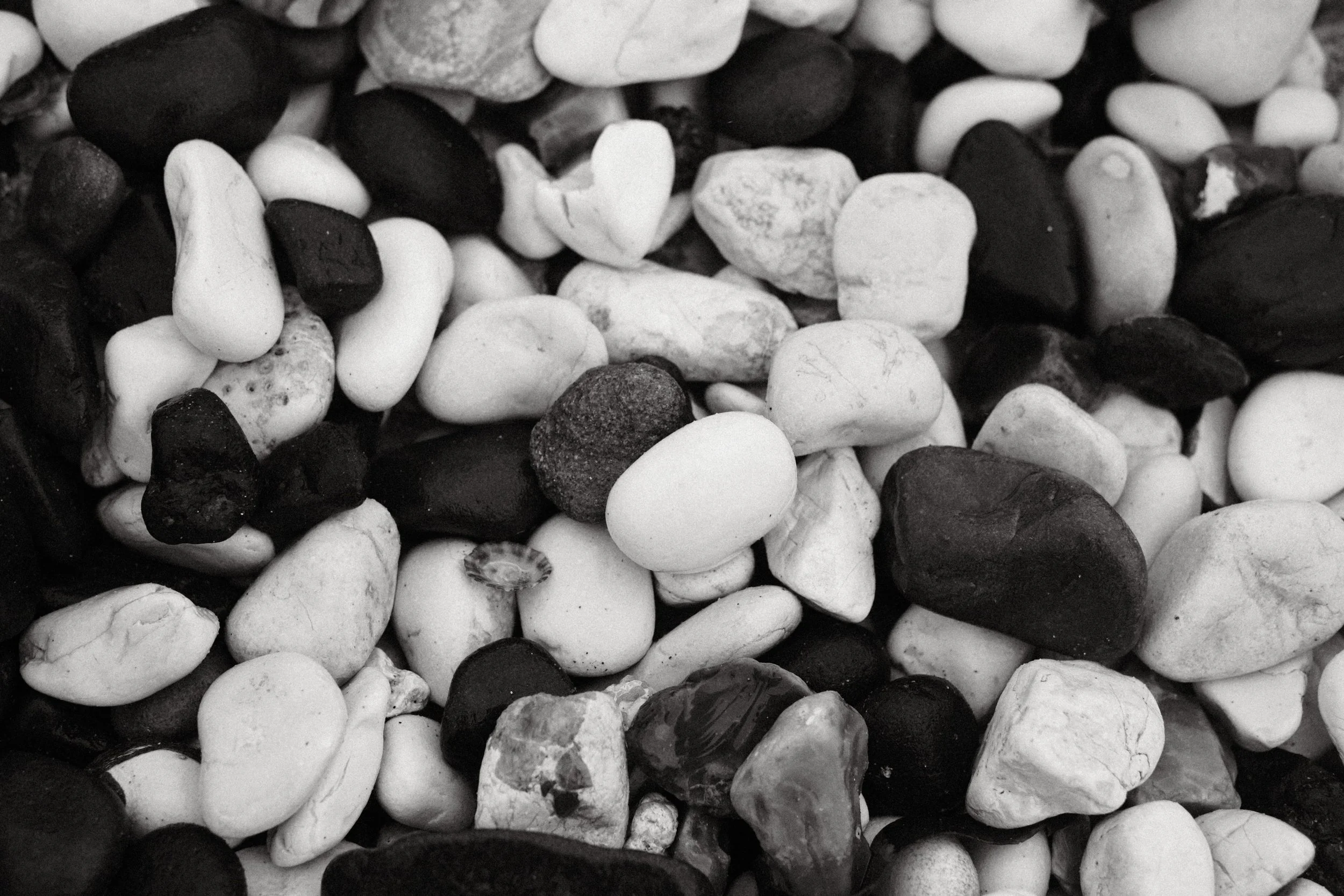 278 Oxygen Mono Fuji GOATs (29).jpg