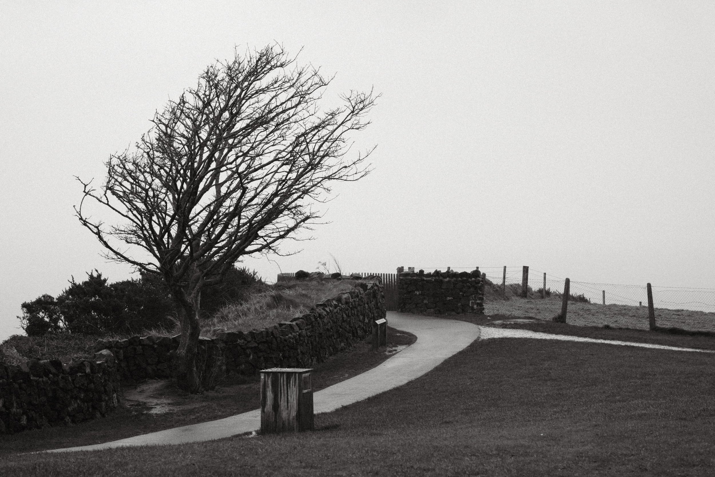 278 Oxygen Mono Fuji GOATs (26).jpg