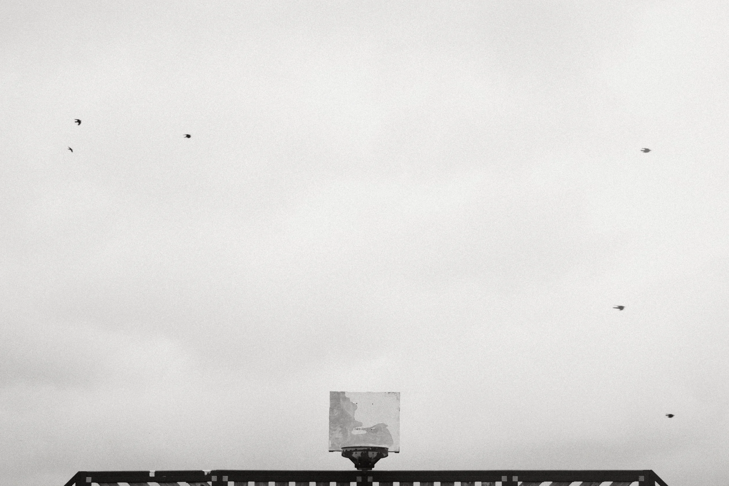 278 Oxygen Mono Fuji GOATs (10).jpg