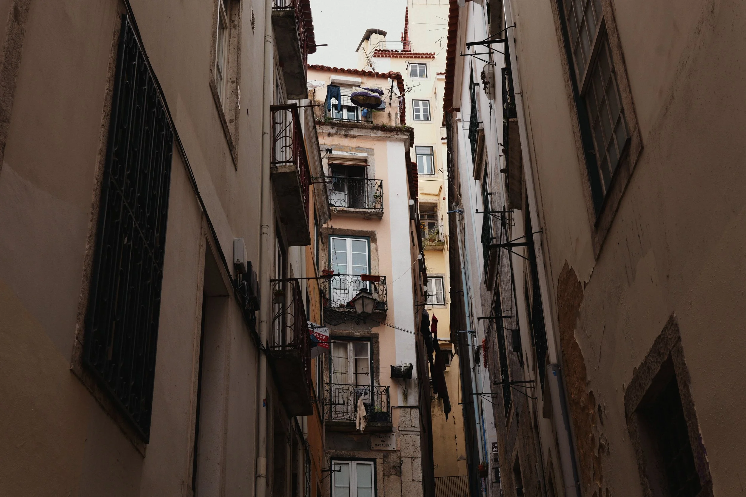 289 Alfama 250B LUMIX look14.jpg