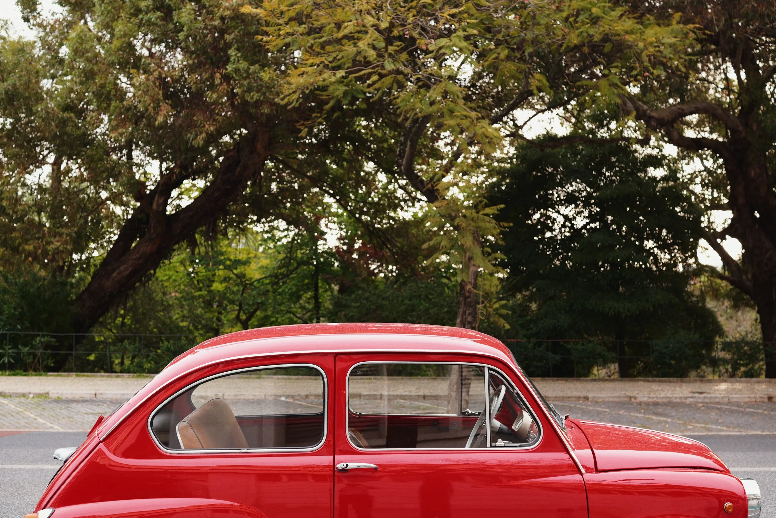 289 Alfama 250B LUMIX look5.jpg