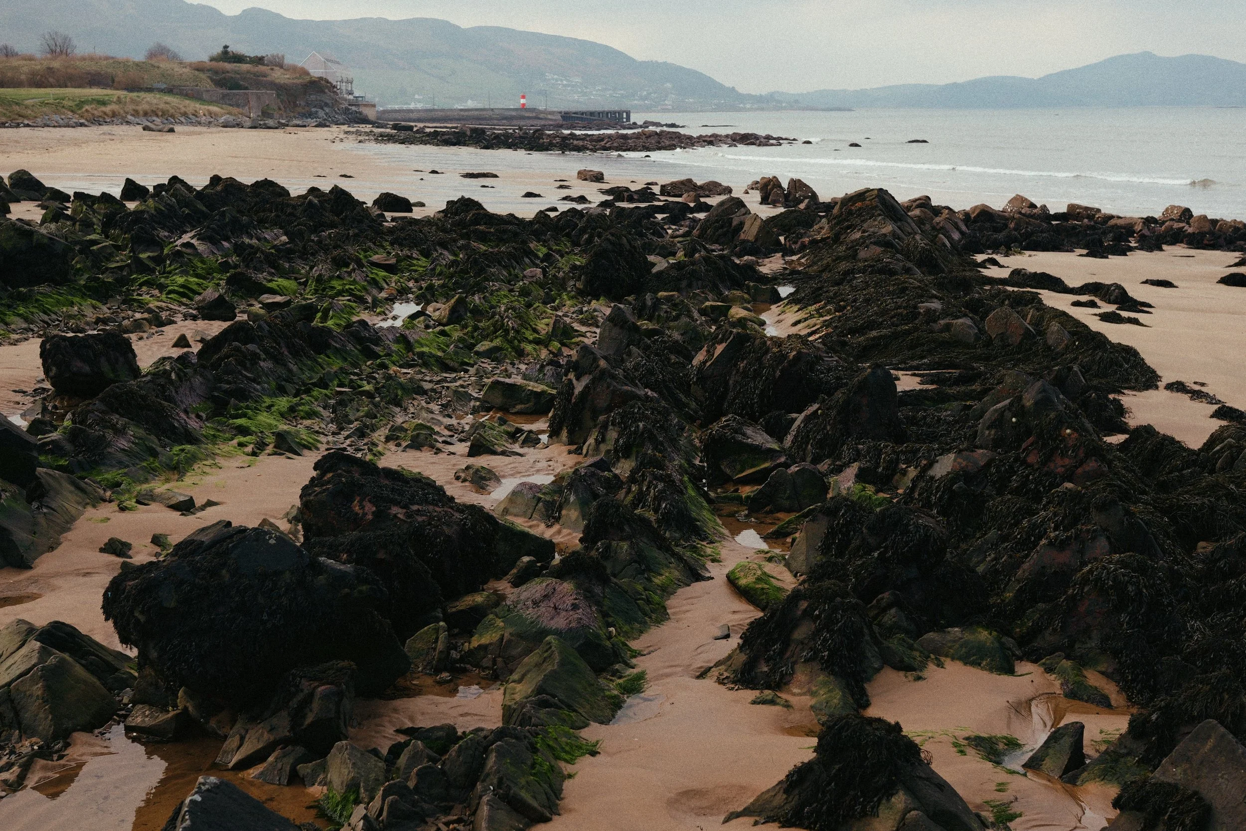 290 Malin Gold 50N LUMIX Look37.jpg