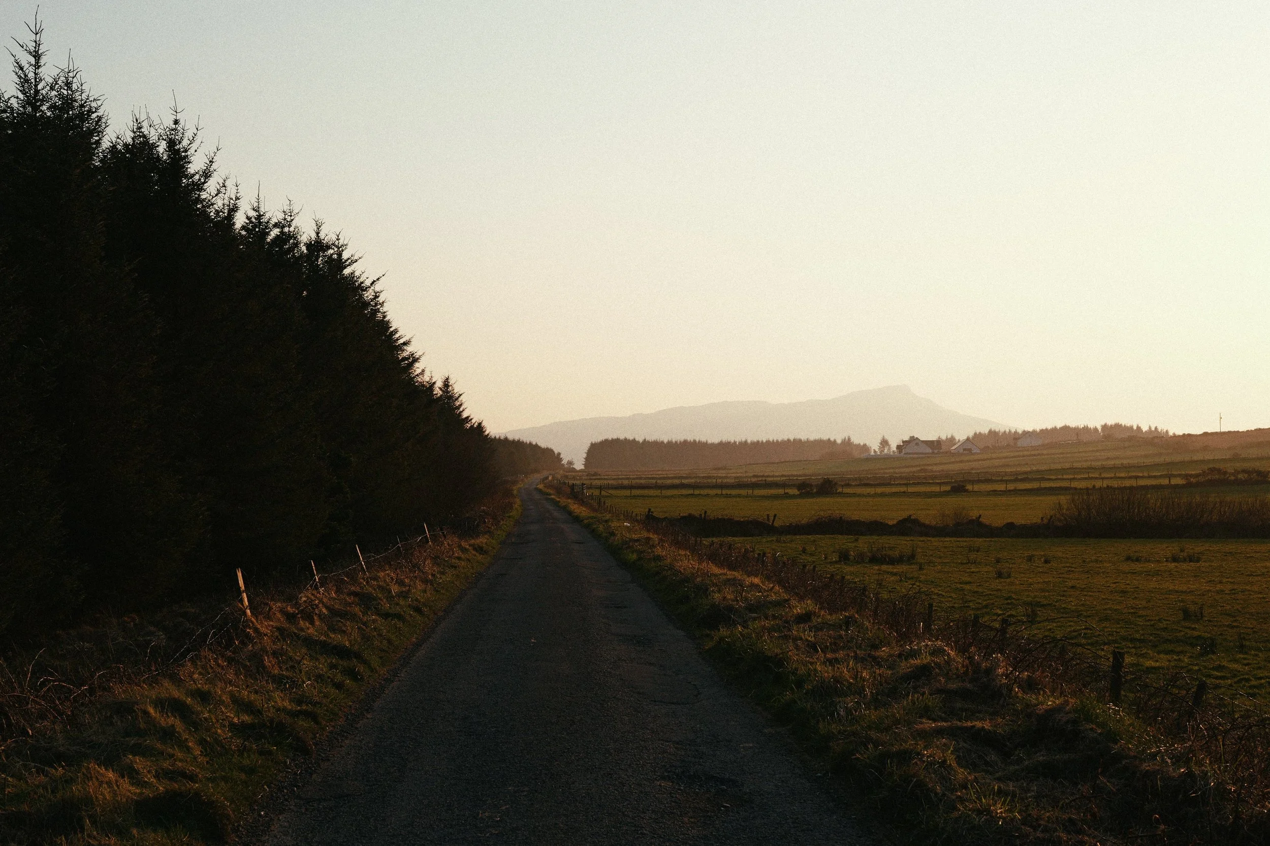 290 Malin Gold 50N LUMIX Look34.jpg