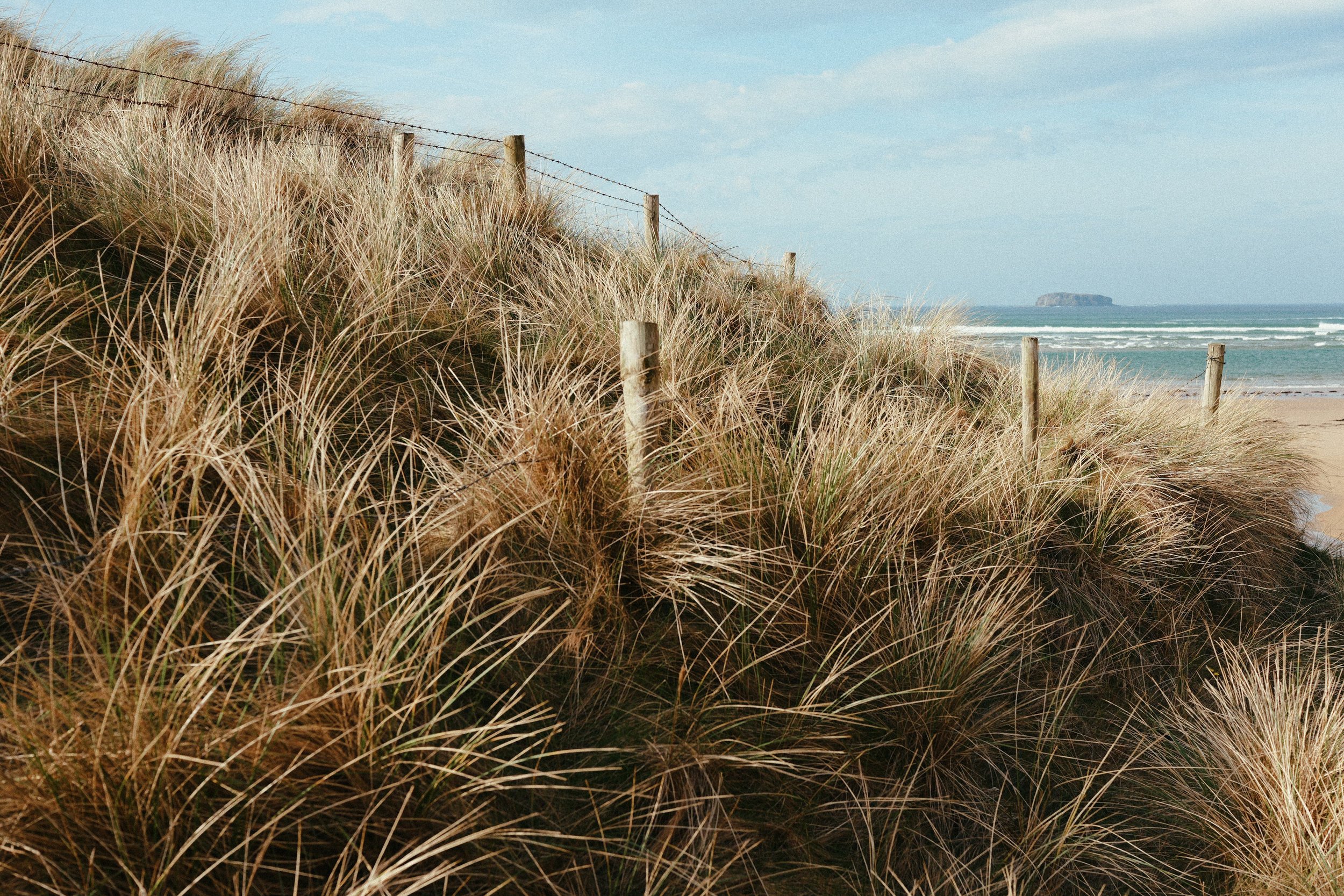 290 Malin Gold 50N LUMIX Look14.jpg