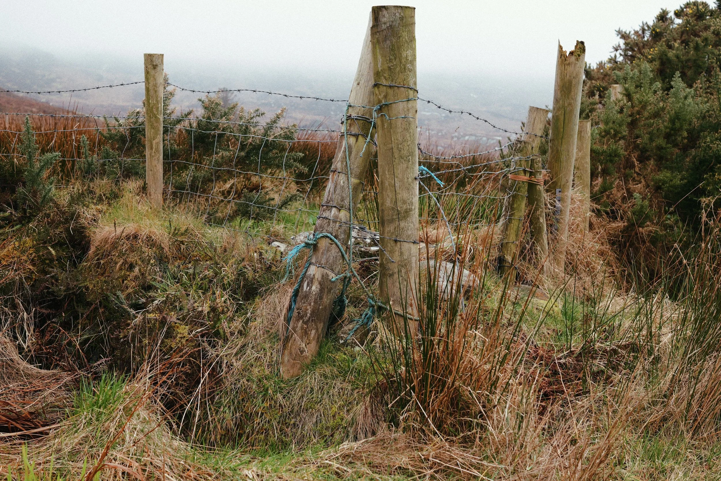 290 Malin Gold 50N LUMIX Look4.jpg