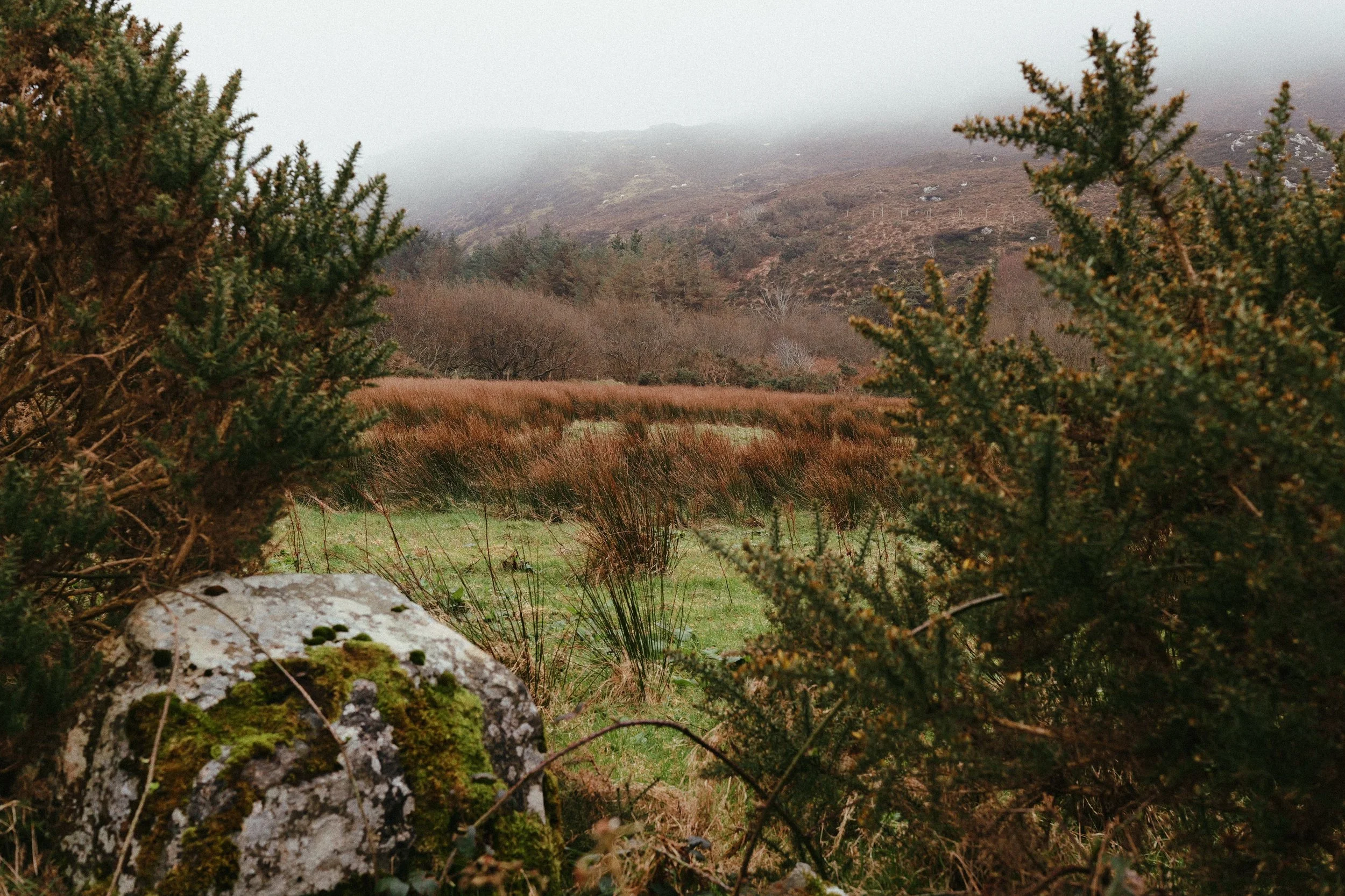 290 Malin Gold 50N LUMIX Look3.jpg