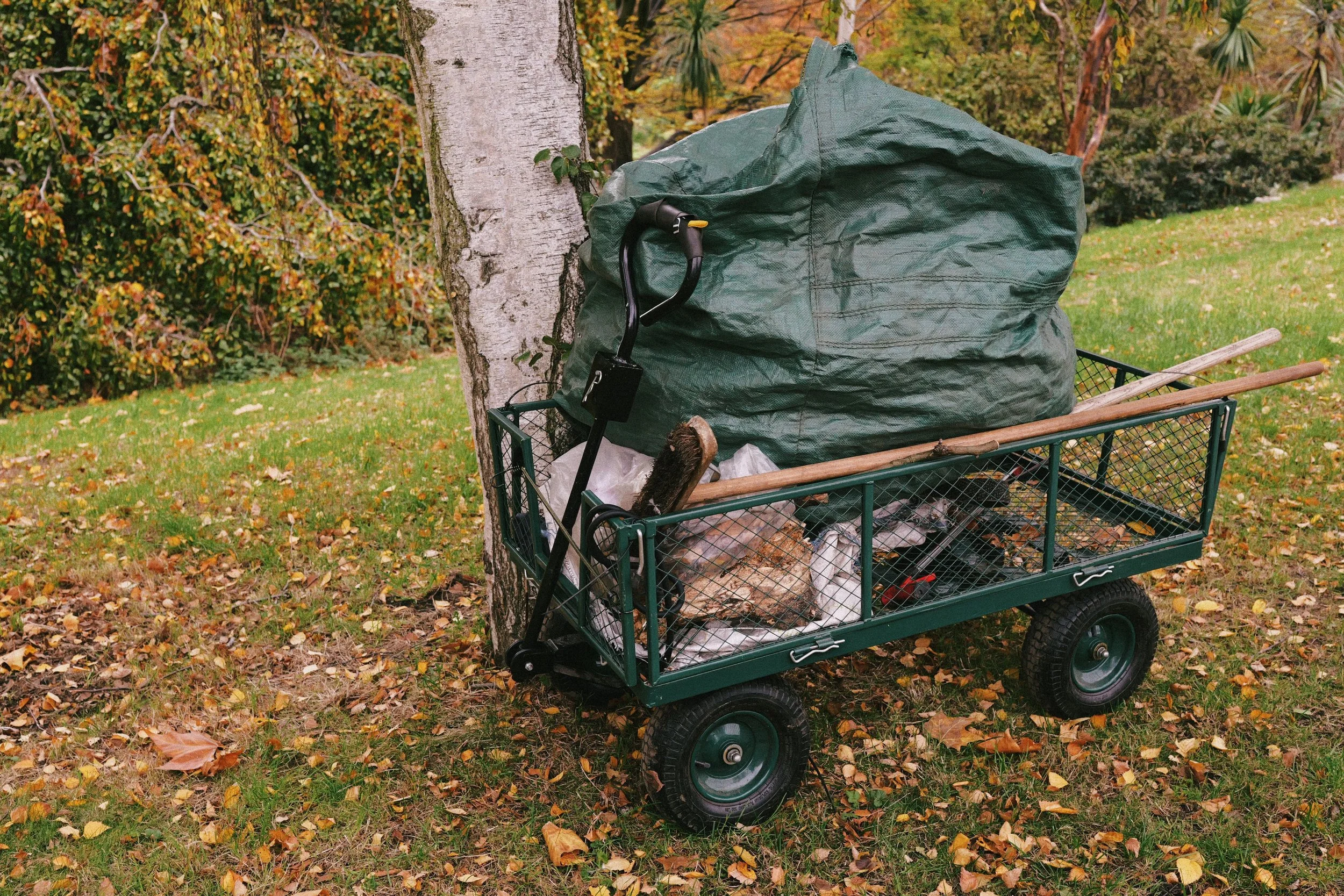 291 London Superia 200H31.jpg