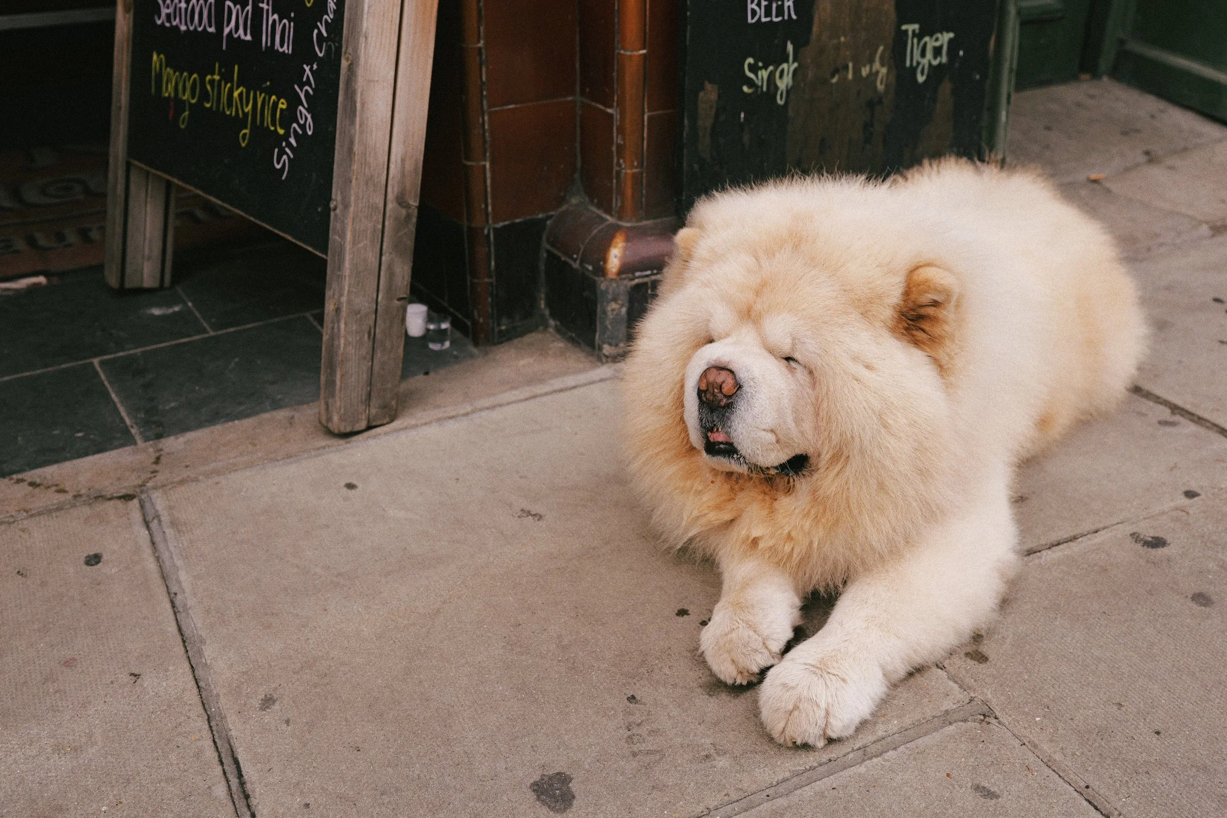 291 London Superia 200H20.jpg