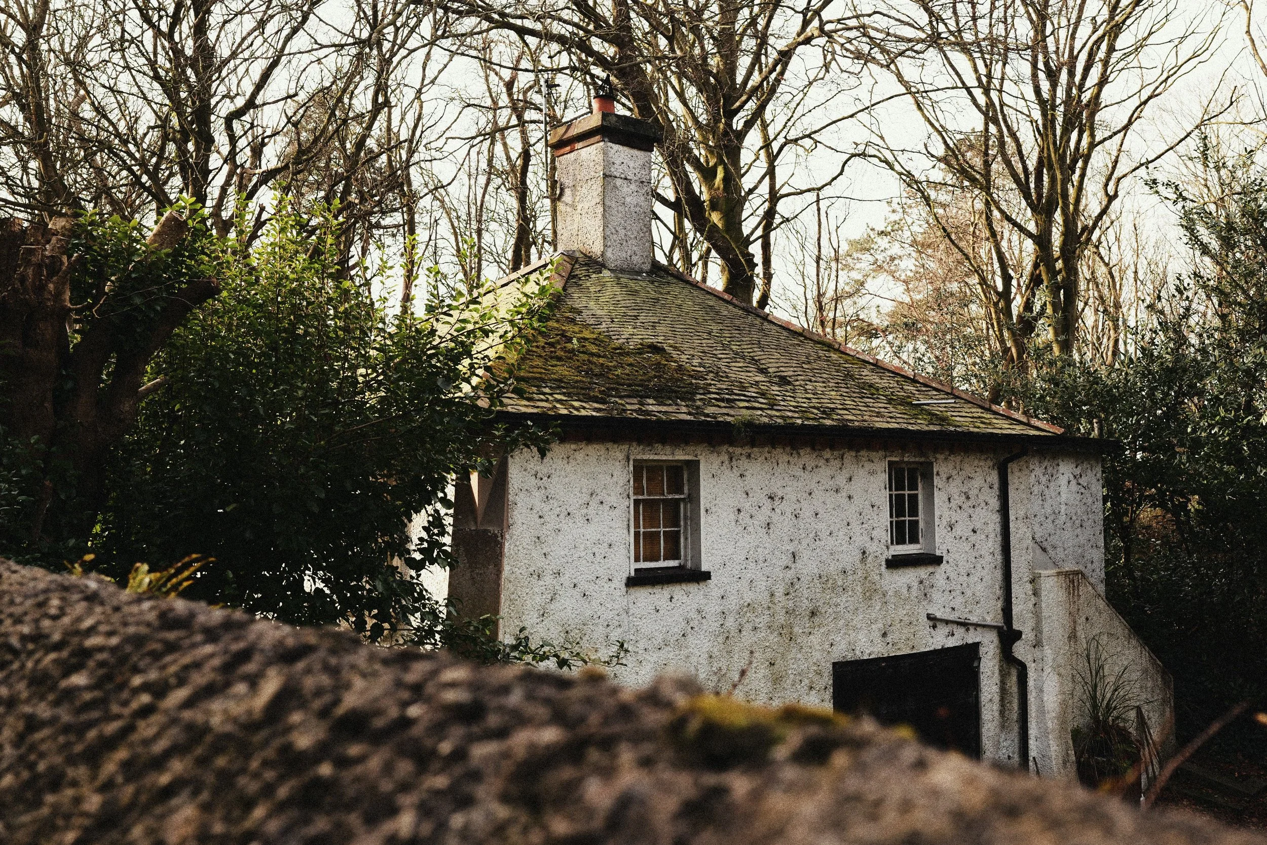 248 Kodak Gold LUMIX Look133.jpg