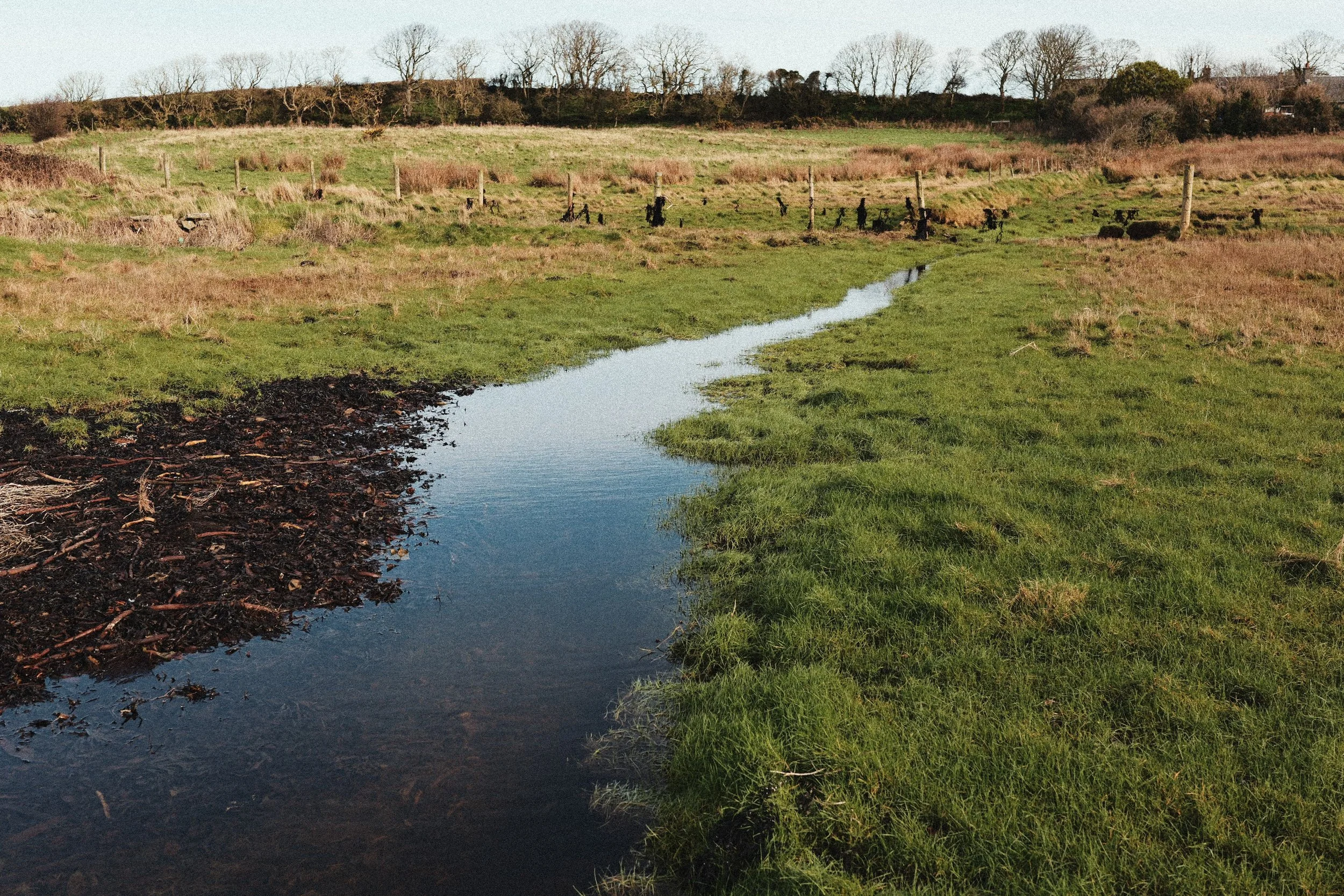 248 Kodak Gold LUMIX Look76.jpg