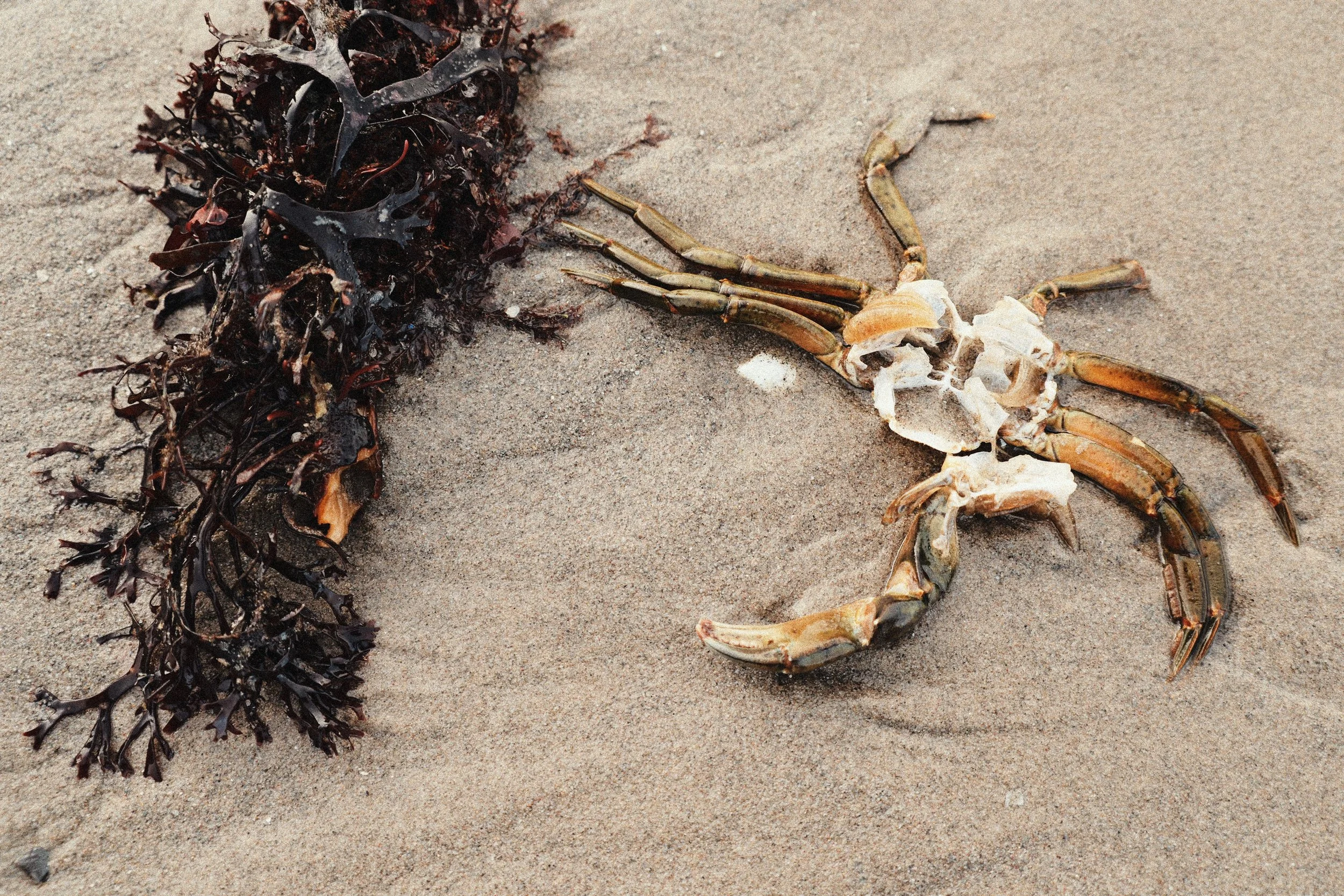 248 Kodak Gold LUMIX Look63.jpg