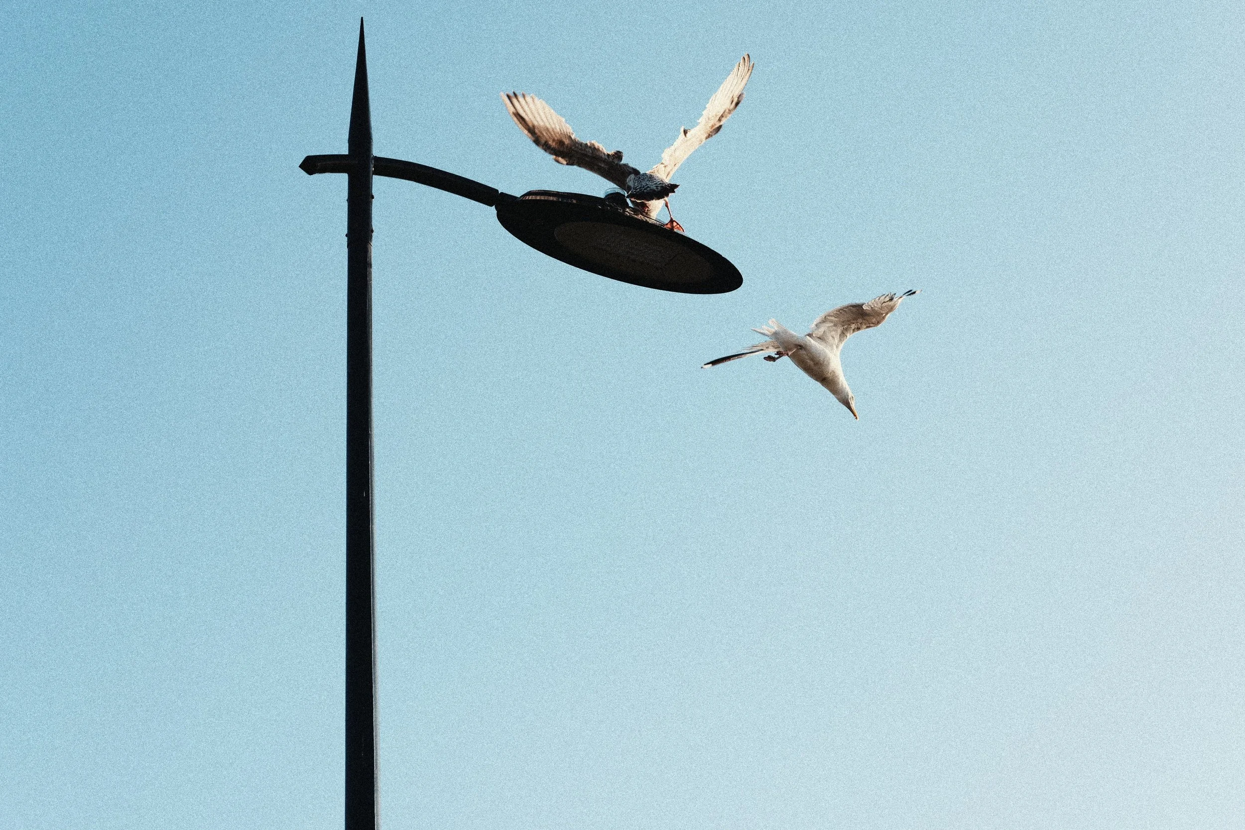 248 Kodak Gold LUMIX Look54.jpg